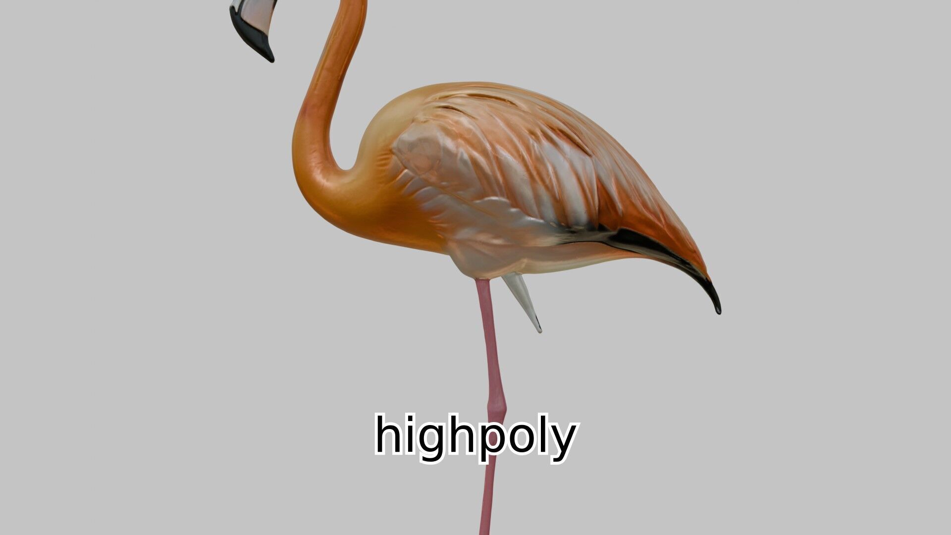 Elegant Flamingo Bird 3D Model for Animation and Visualization Low-poly 3D model_9