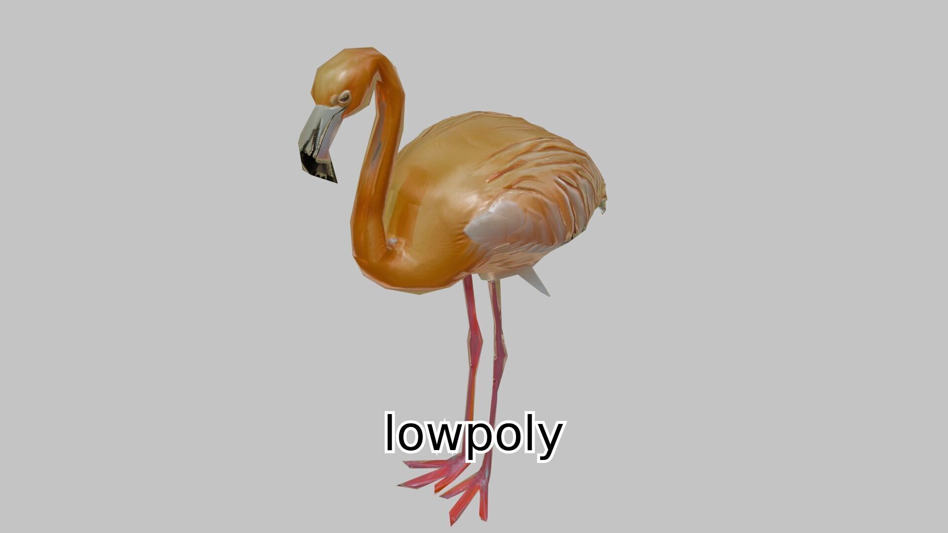 Elegant Flamingo Bird 3D Model for Animation and Visualization Low-poly 3D model_23