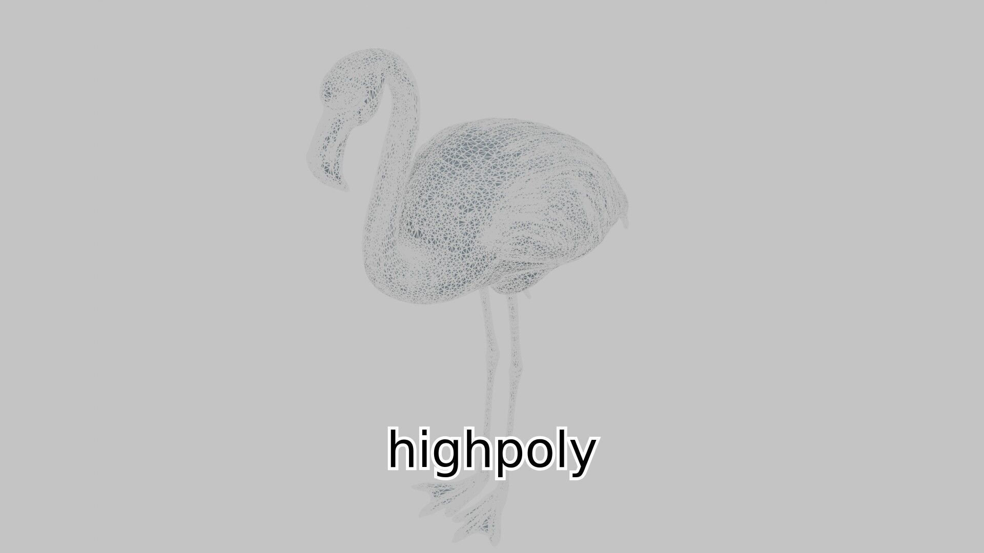 Elegant Flamingo Bird 3D Model for Animation and Visualization Low-poly 3D model_15