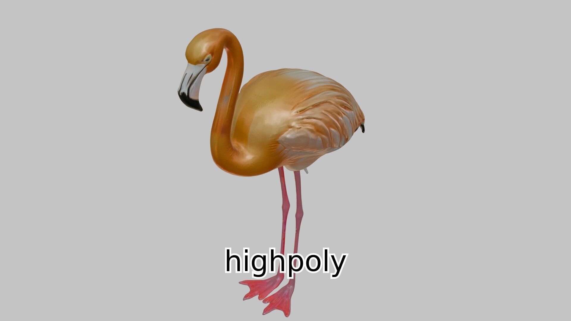 Elegant Flamingo Bird 3D Model for Animation and Visualization Low-poly 3D model_16