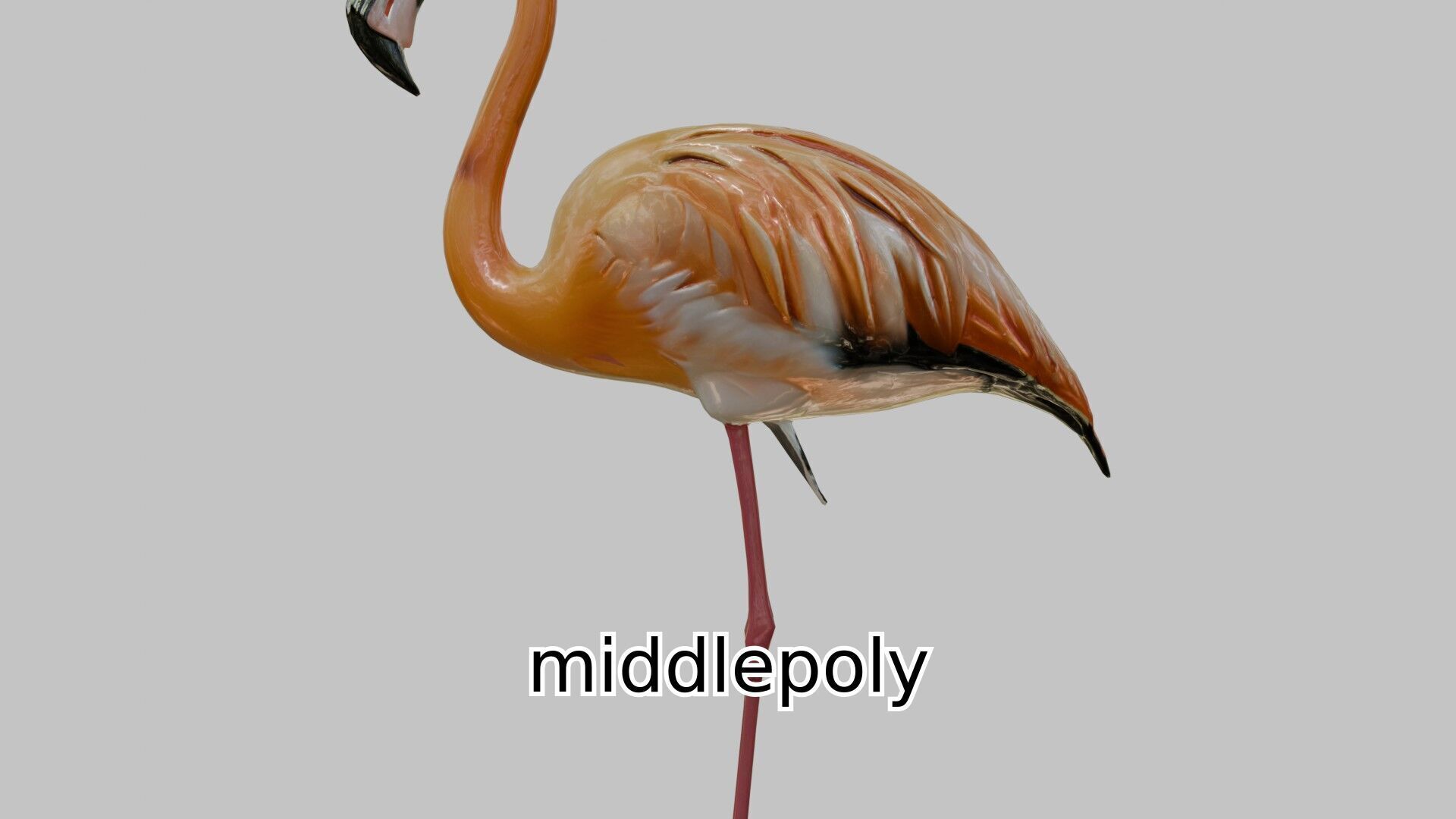 Elegant Flamingo Bird 3D Model for Animation and Visualization Low-poly 3D model_1