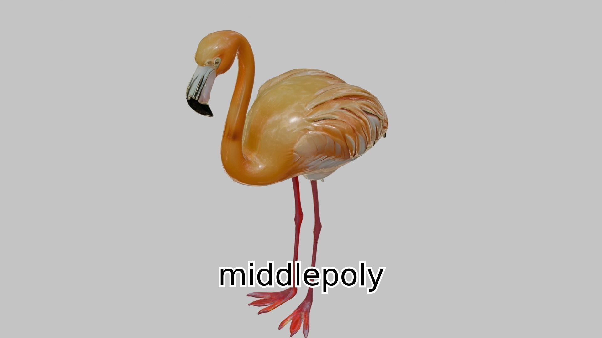 Elegant Flamingo Bird 3D Model for Animation and Visualization Low-poly 3D model_7