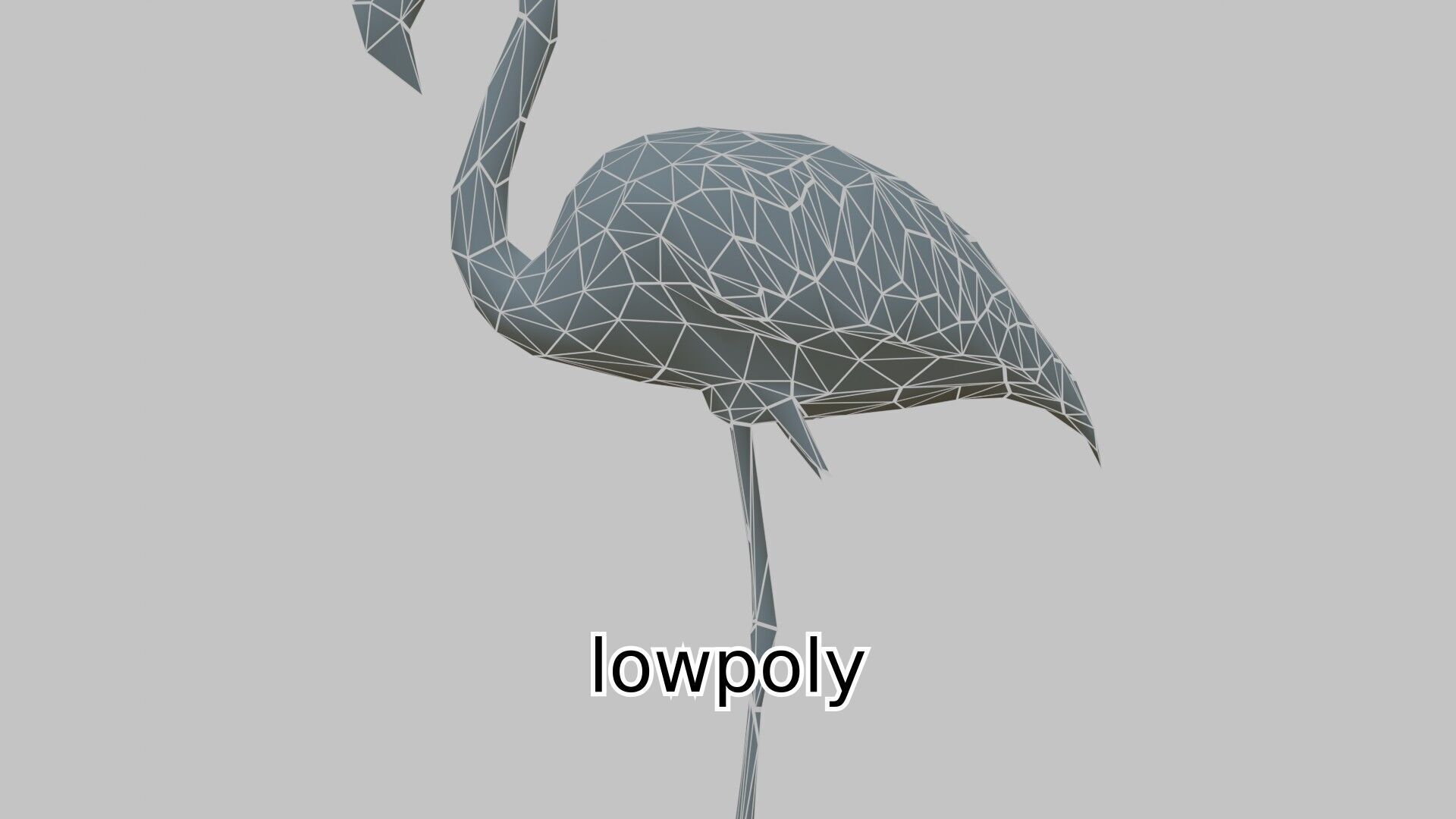Elegant Flamingo Bird 3D Model for Animation and Visualization Low-poly 3D model_20