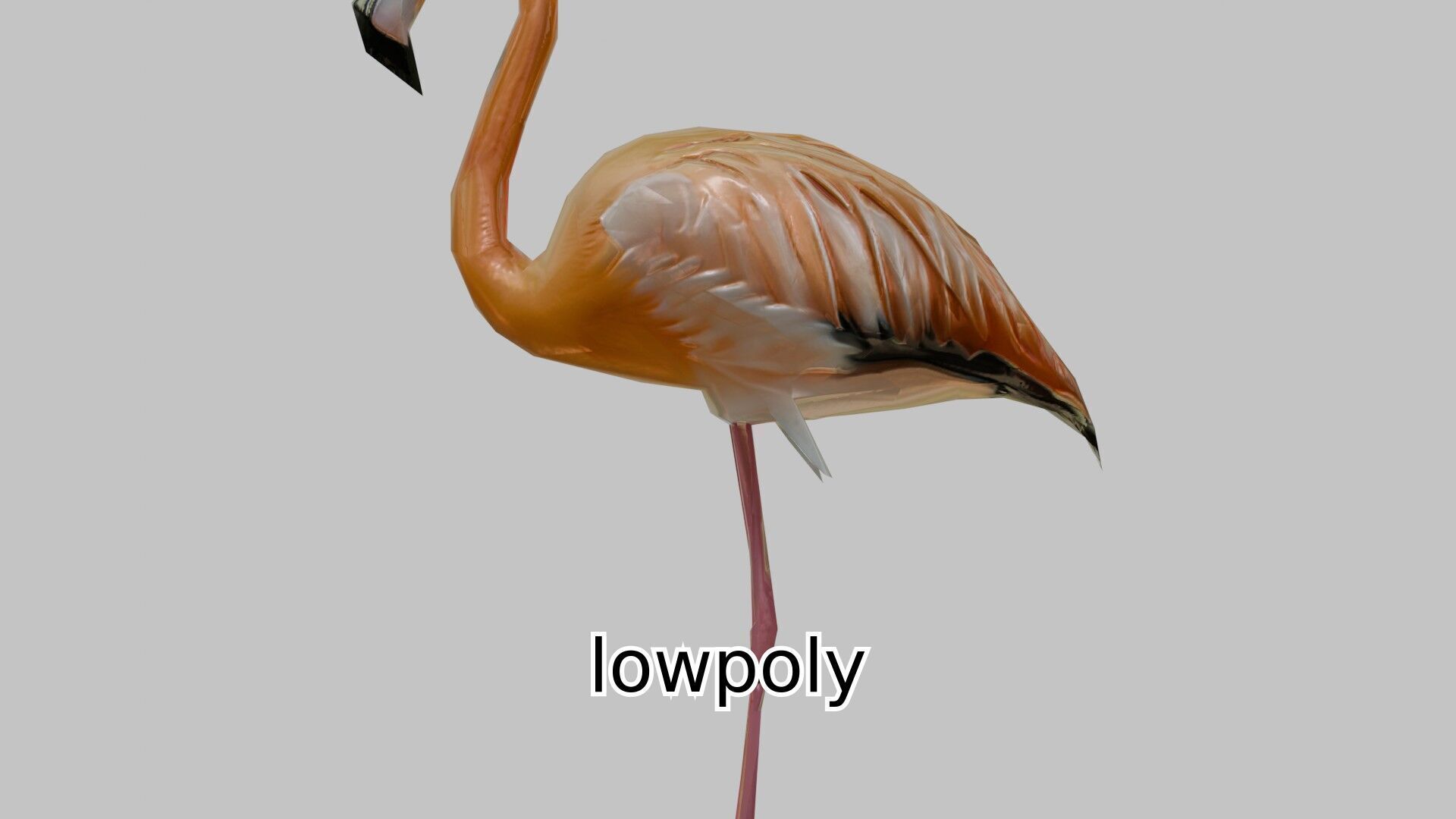 Elegant Flamingo Bird 3D Model for Animation and Visualization Low-poly 3D model_17