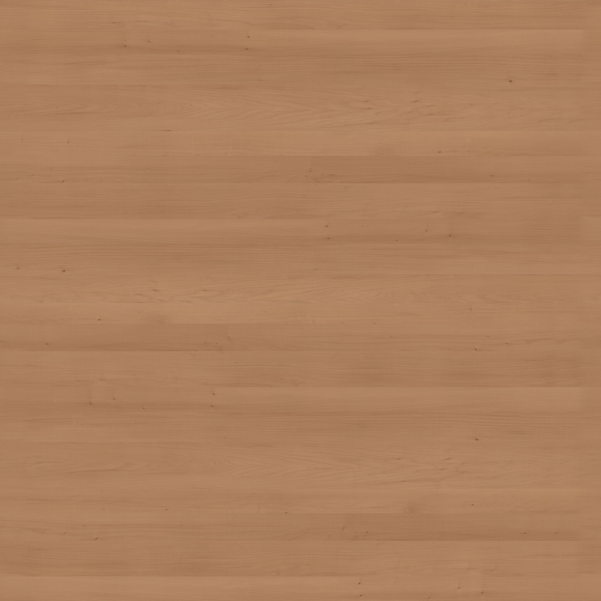 Holton Book Shelves Low-poly 3D model_31