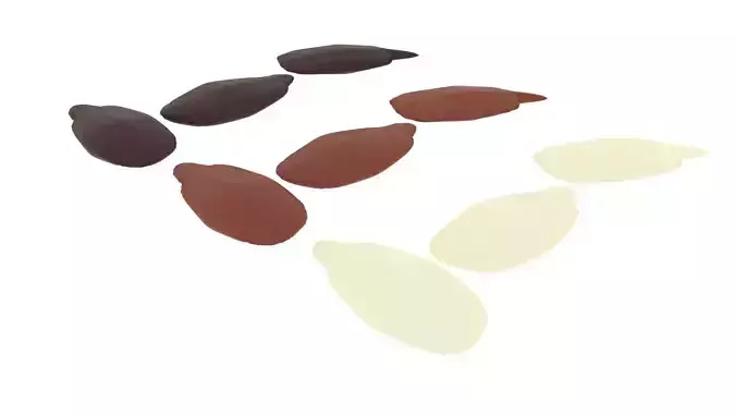 Chocolate Covered Sunflower Seeds