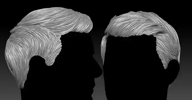 3D Hair style for Man V01  3D print model
