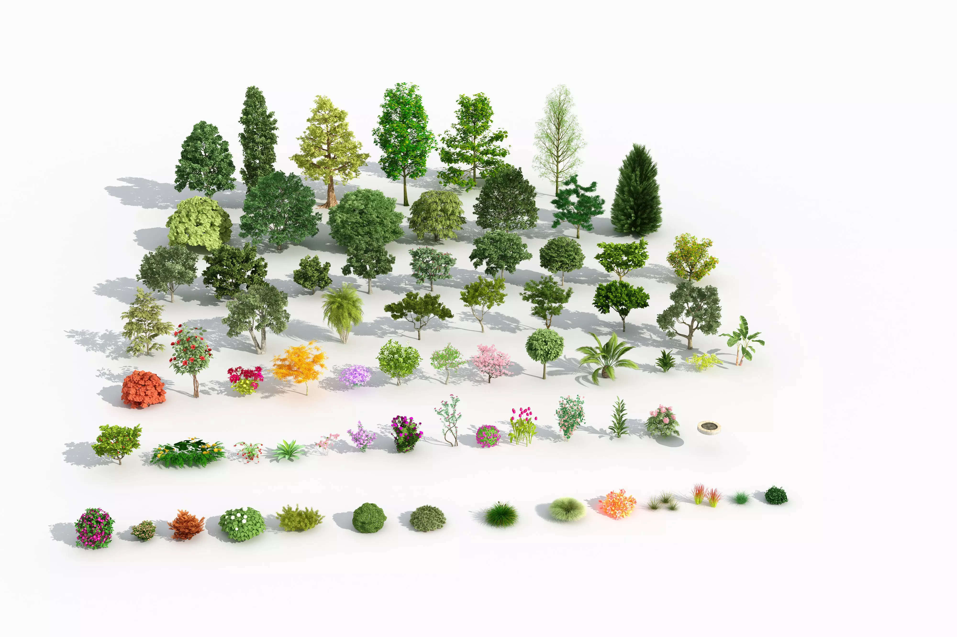 Complete list of various plants shrubs roadside trees 3D model