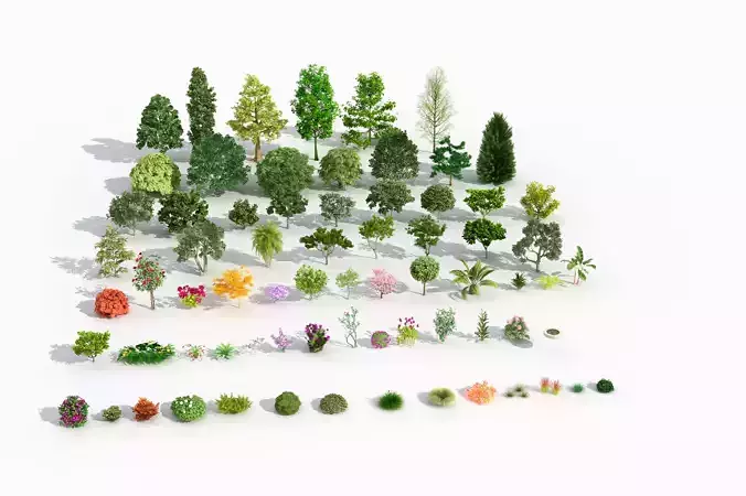 Complete list of various plants shrubs  roadside trees 