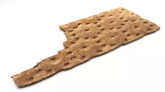 Bitten Brown Cracker Bread