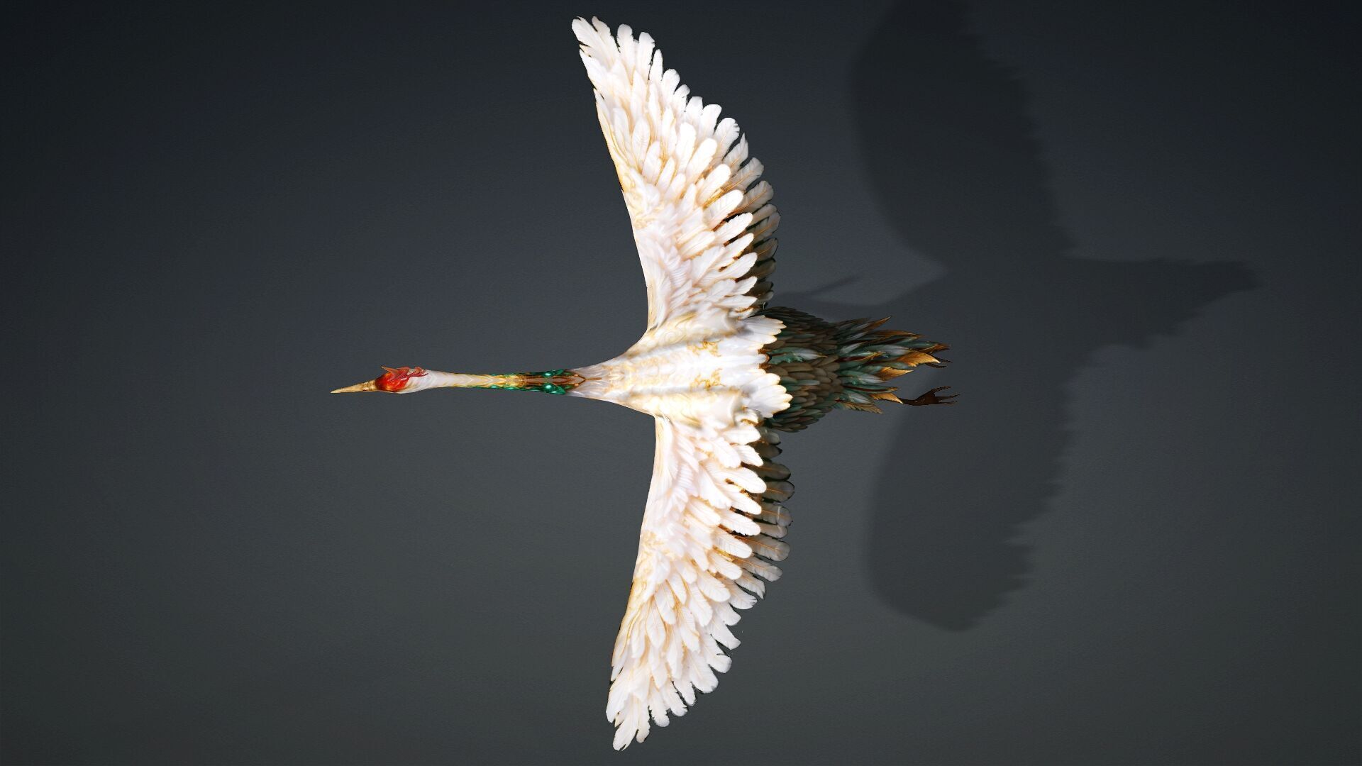 Crane Bird-B1 3D model_13