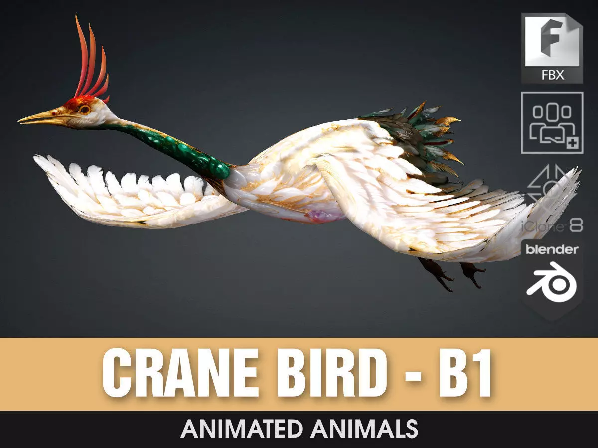 Crane Bird-B1 3D model_0