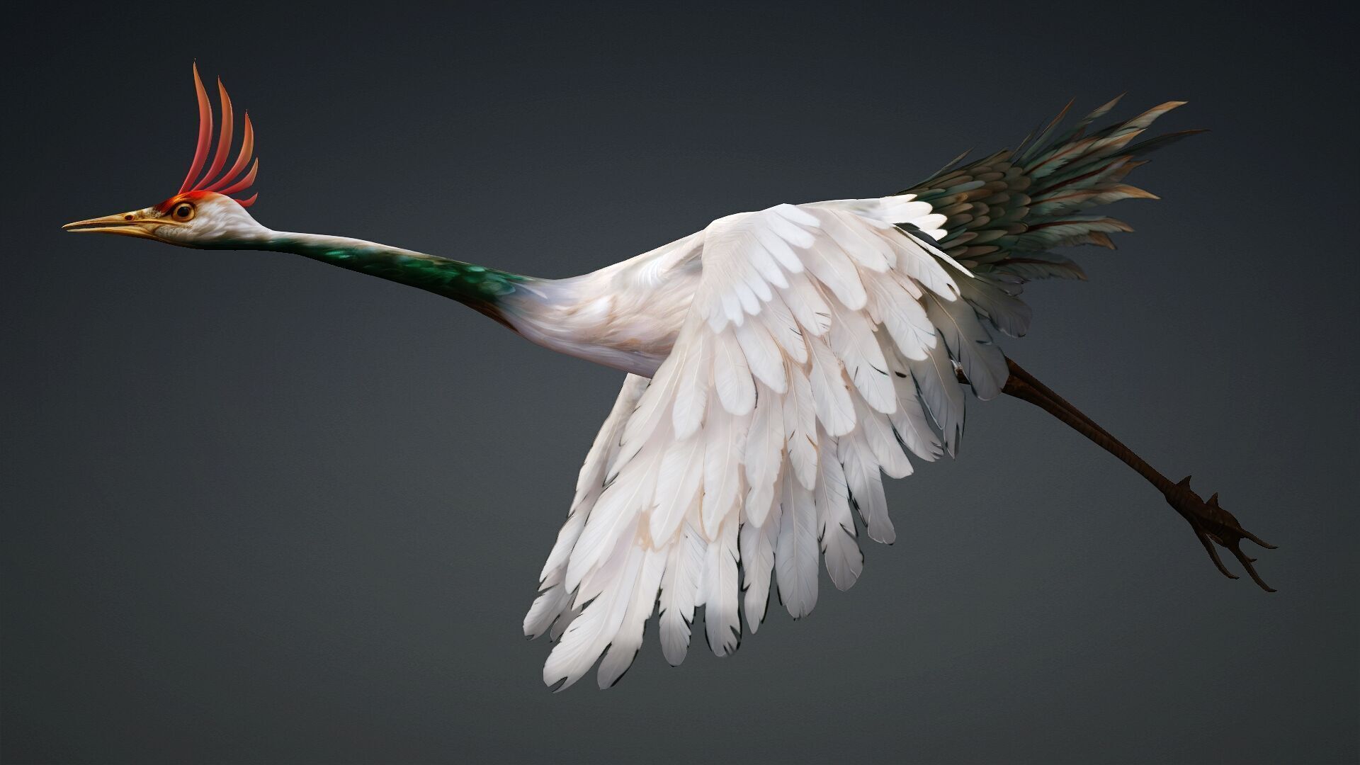 Crane Bird-B3 3D model_10