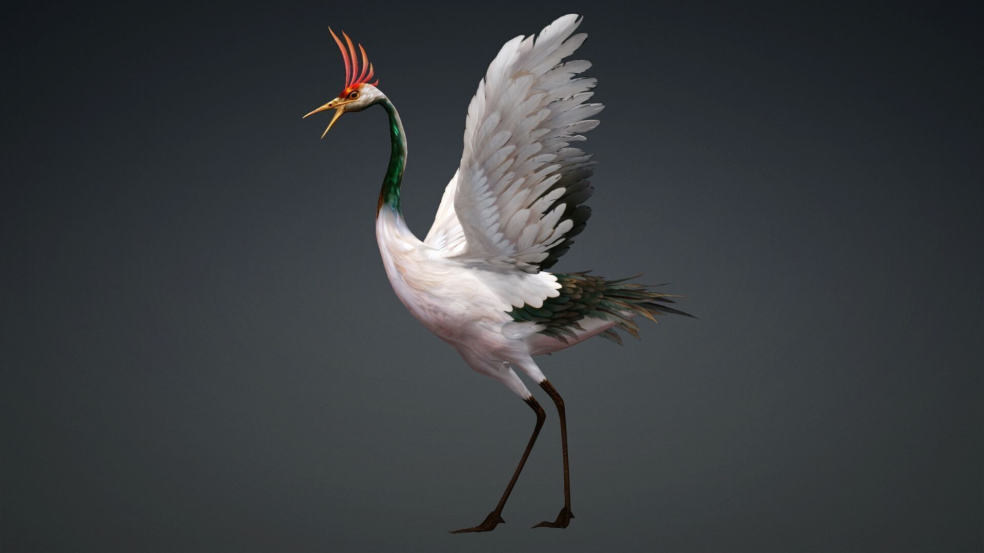 Crane Bird-B3 3D model_6