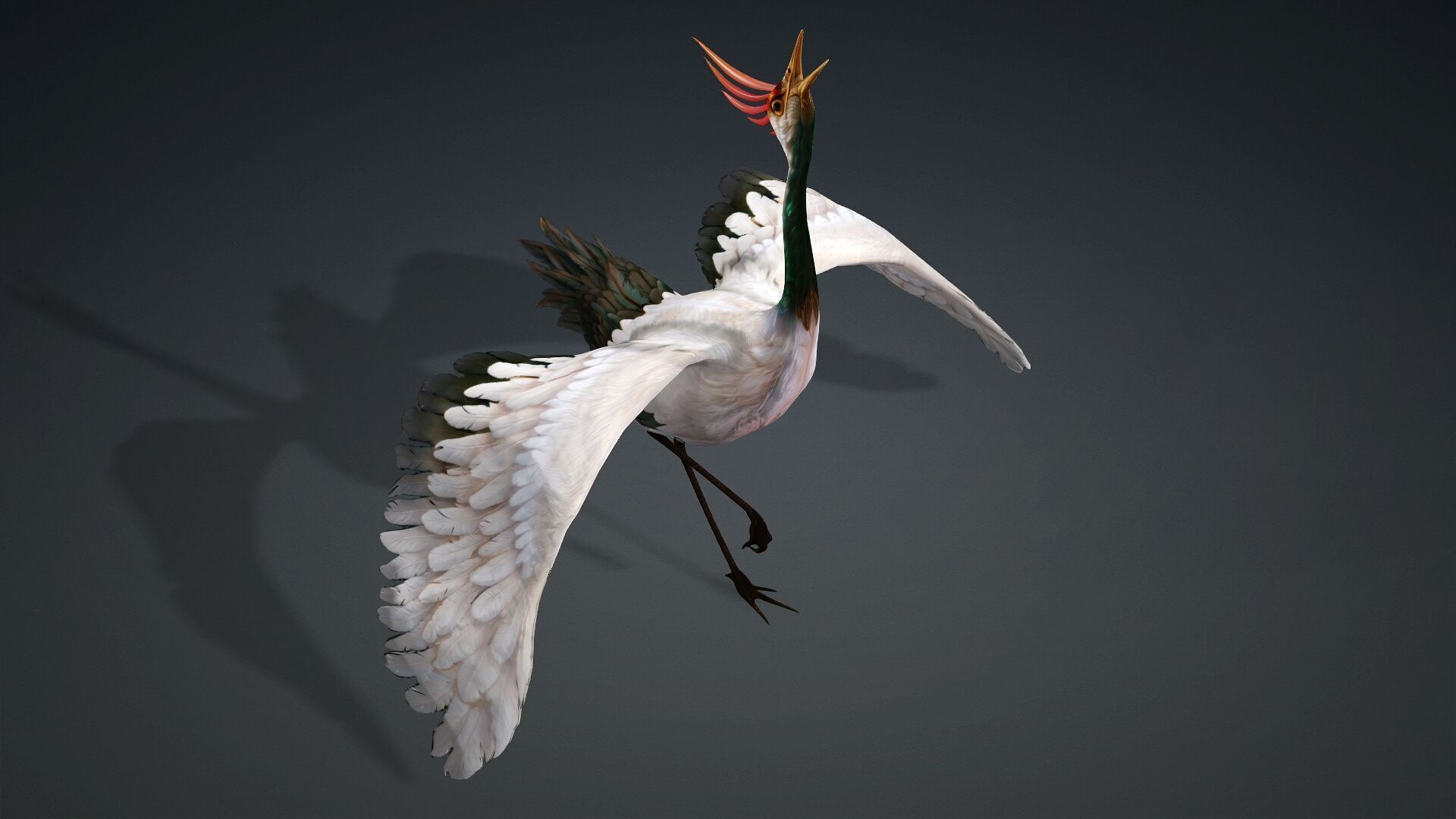 Crane Bird-B3 3D model_15