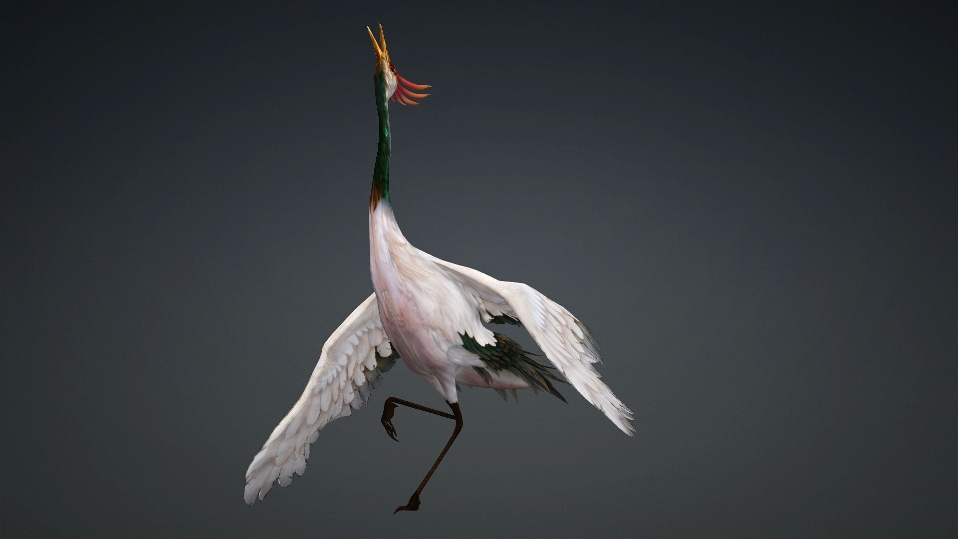 Crane Bird-B3 3D model_14