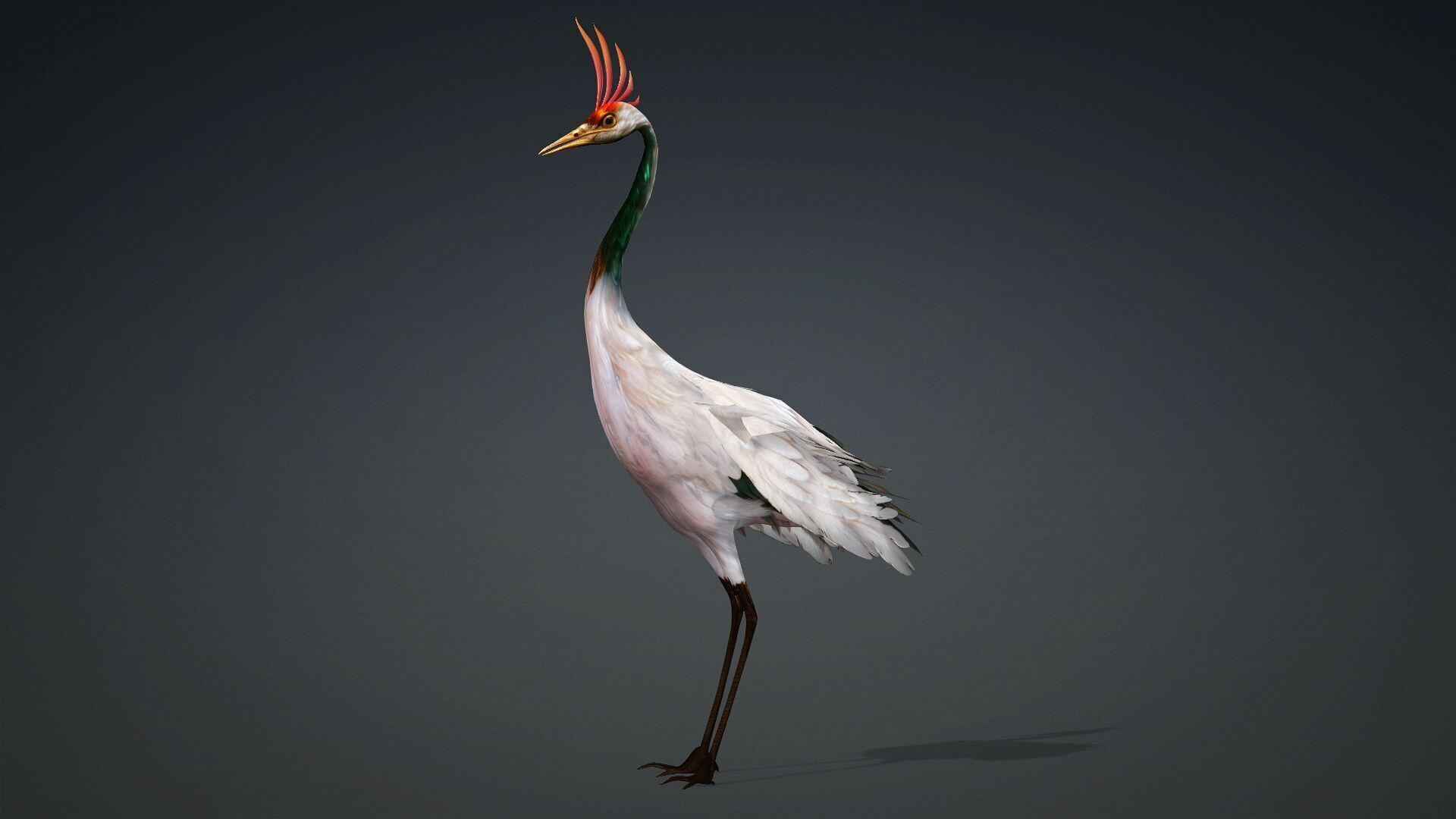 Crane Bird-B3 3D model_12