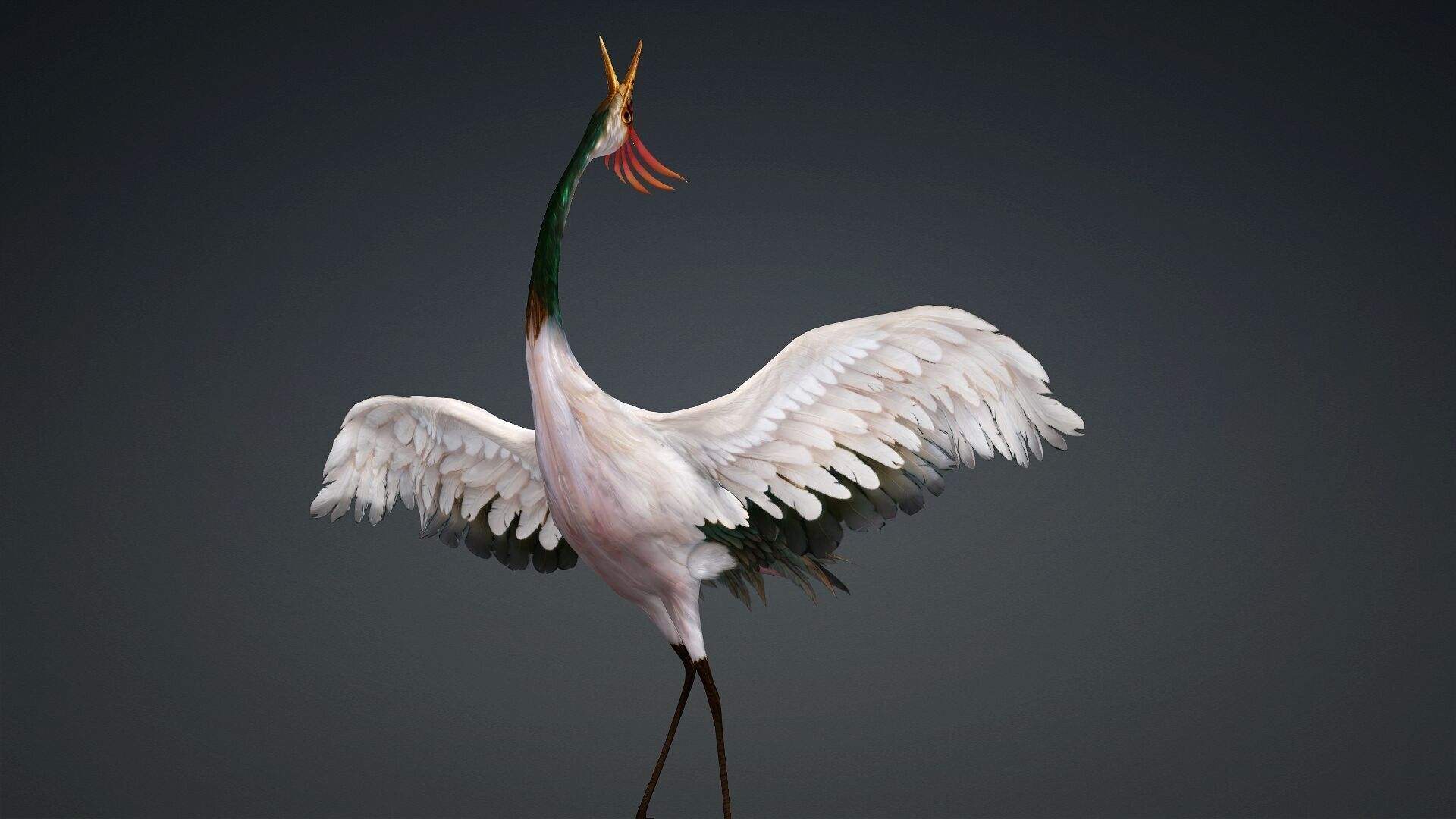 Crane Bird-B3 3D model_13