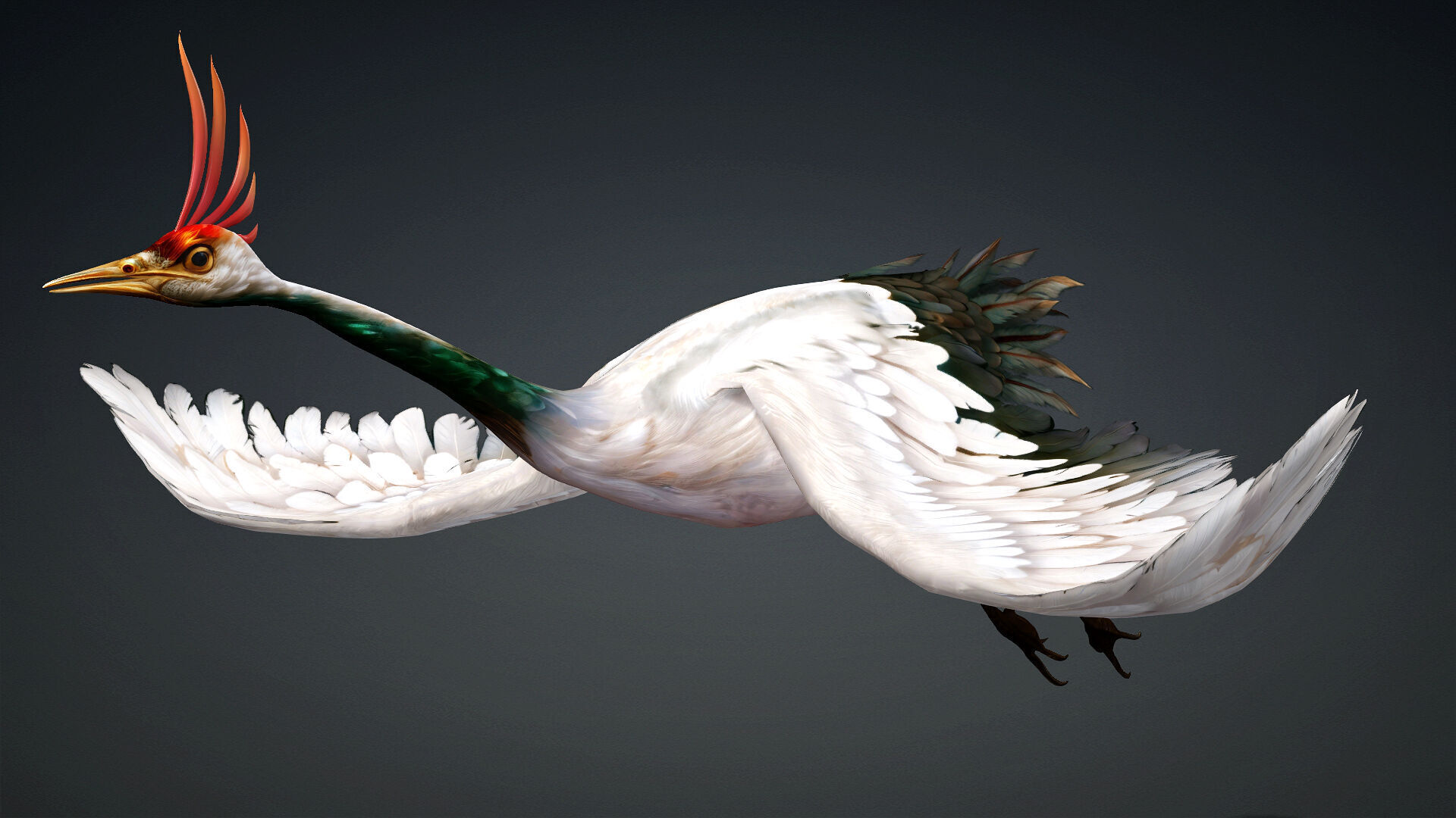 Crane Bird-B3 3D model_2