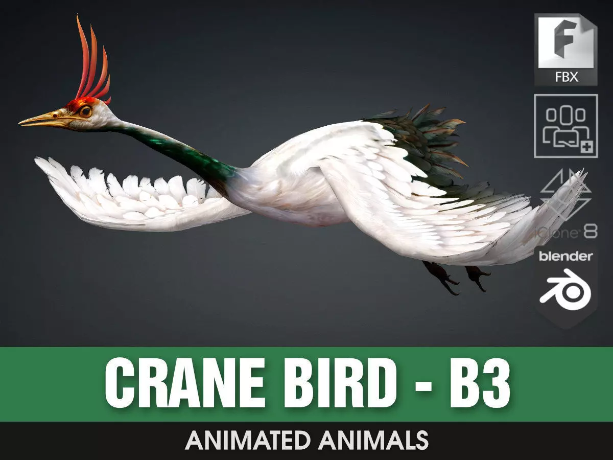 Crane Bird-B3 3D model_0