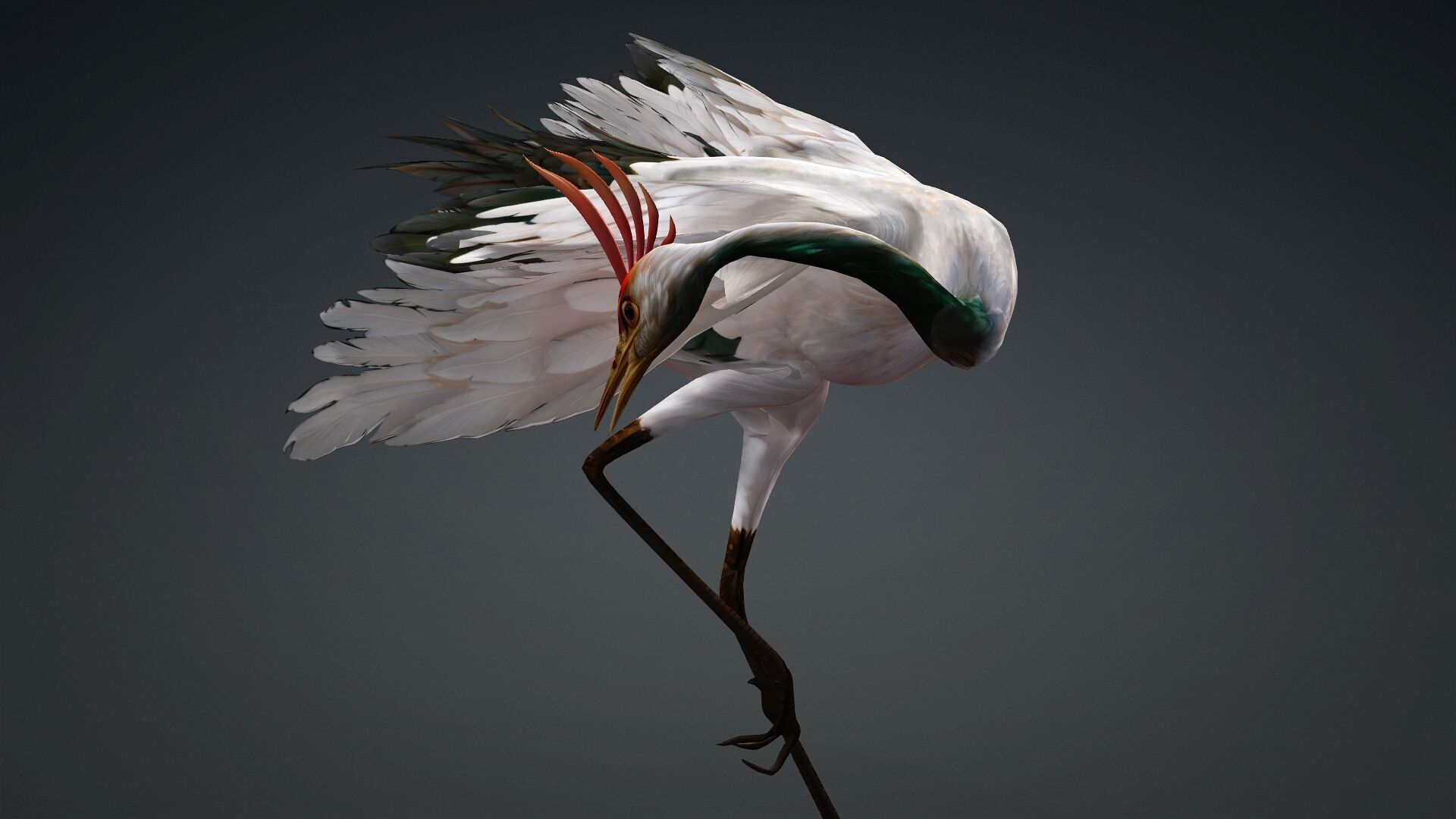 Crane Bird-B3 3D model_16