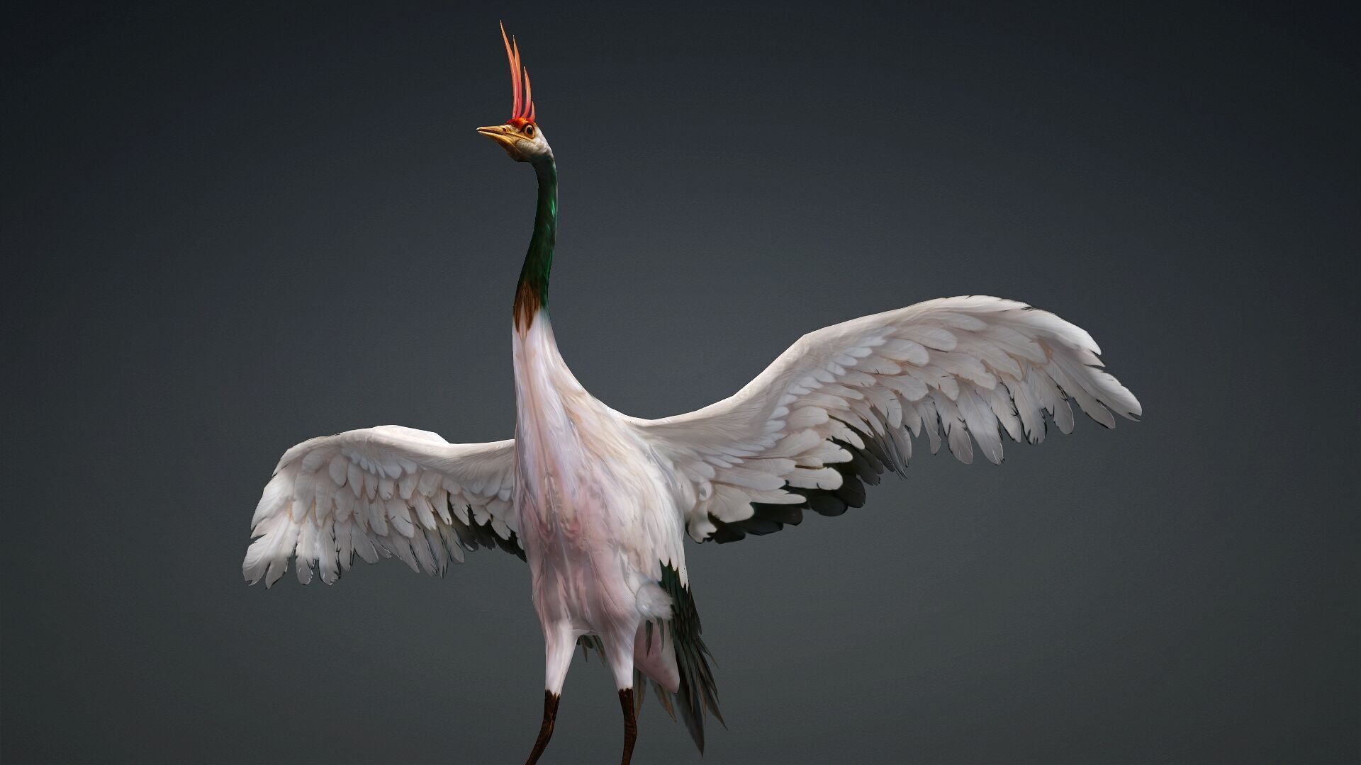Crane Bird-B3 3D model_7