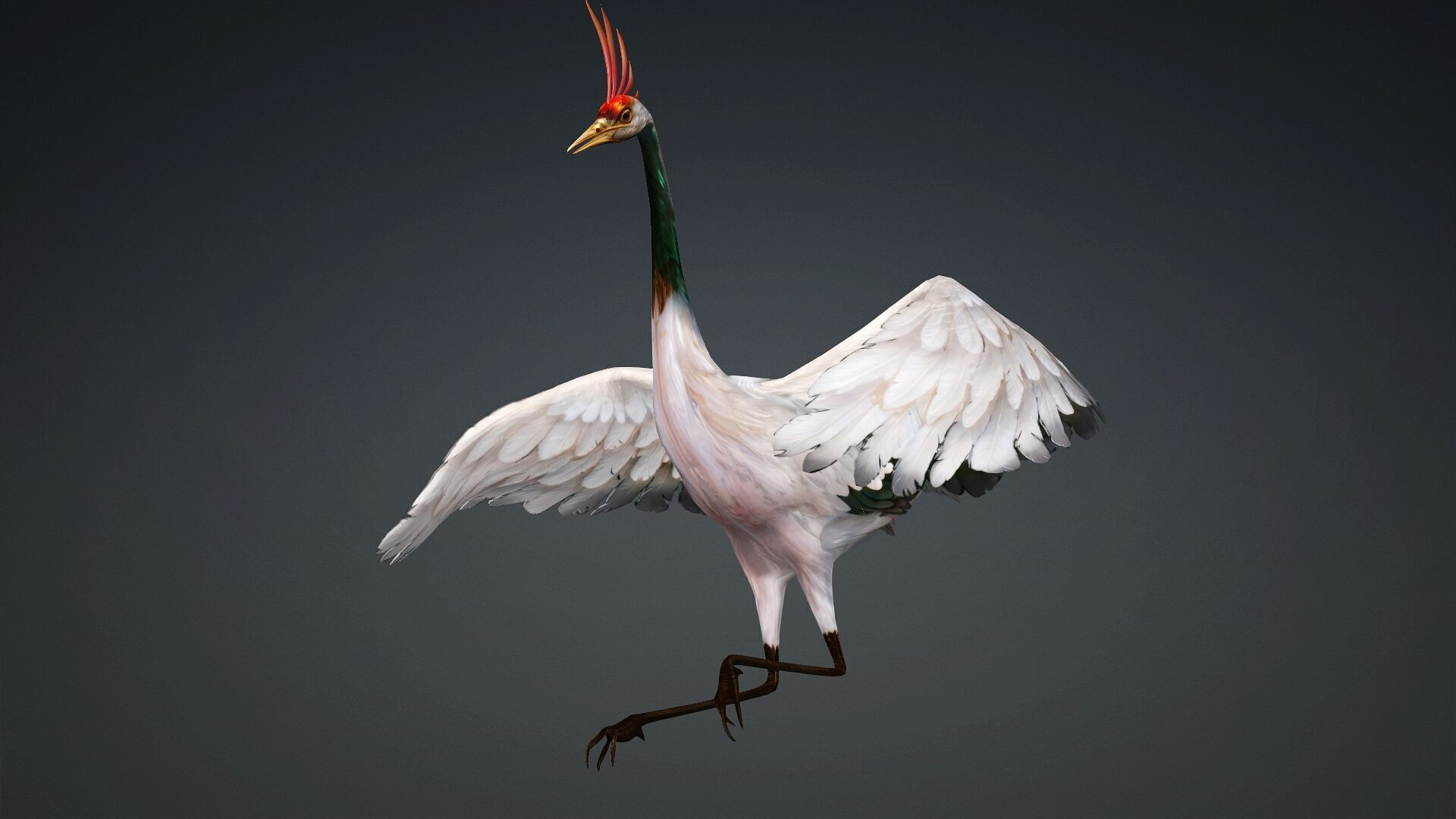 Crane Bird-B3 3D model_4
