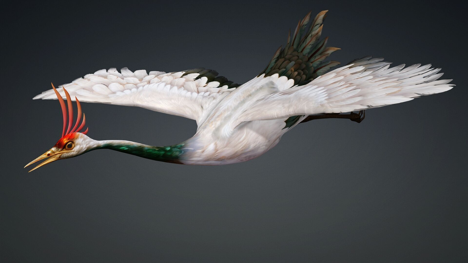 Crane Bird-B3 3D model_3