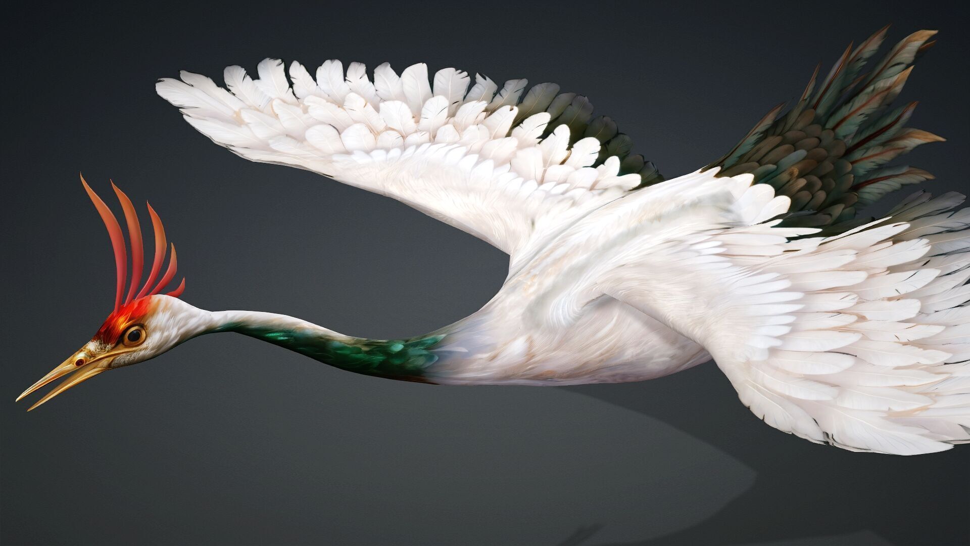 Crane Bird-B3 3D model_8