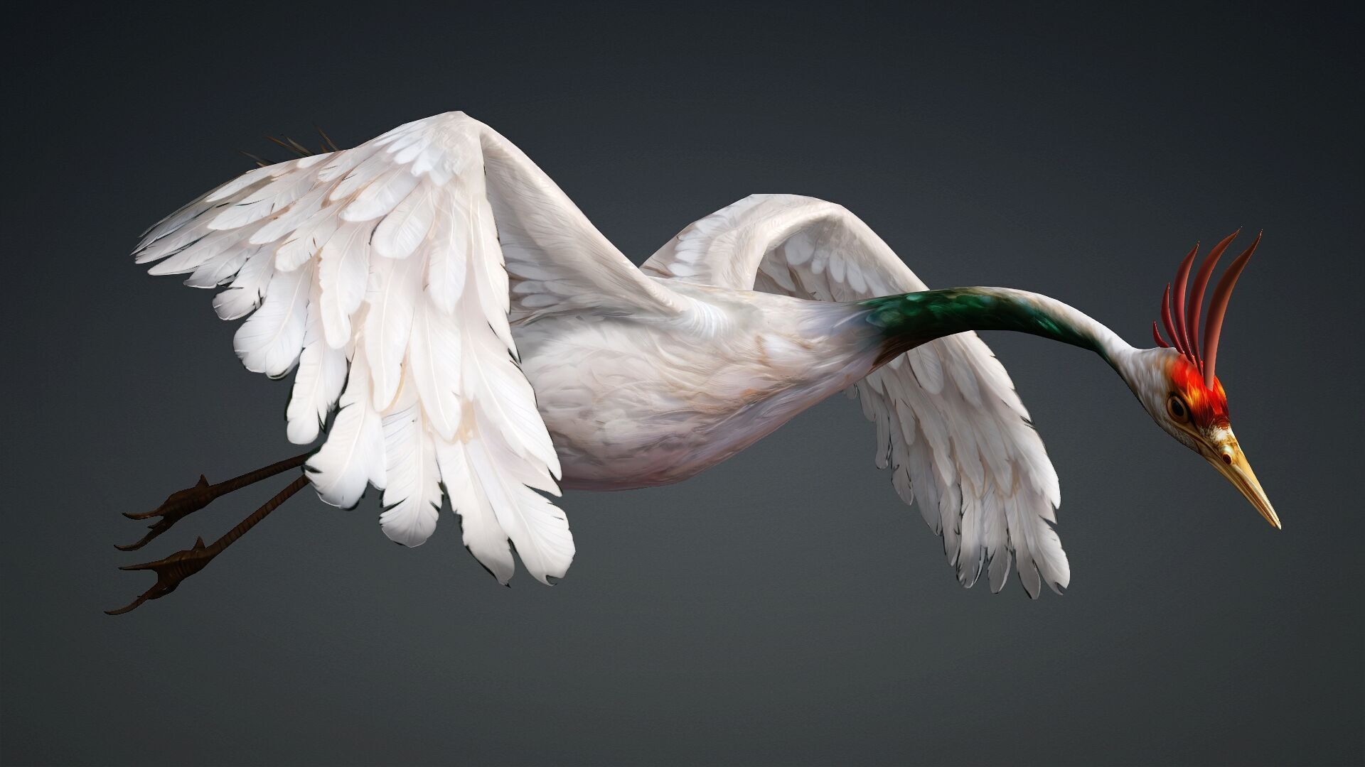 Crane Bird-B3 3D model_5