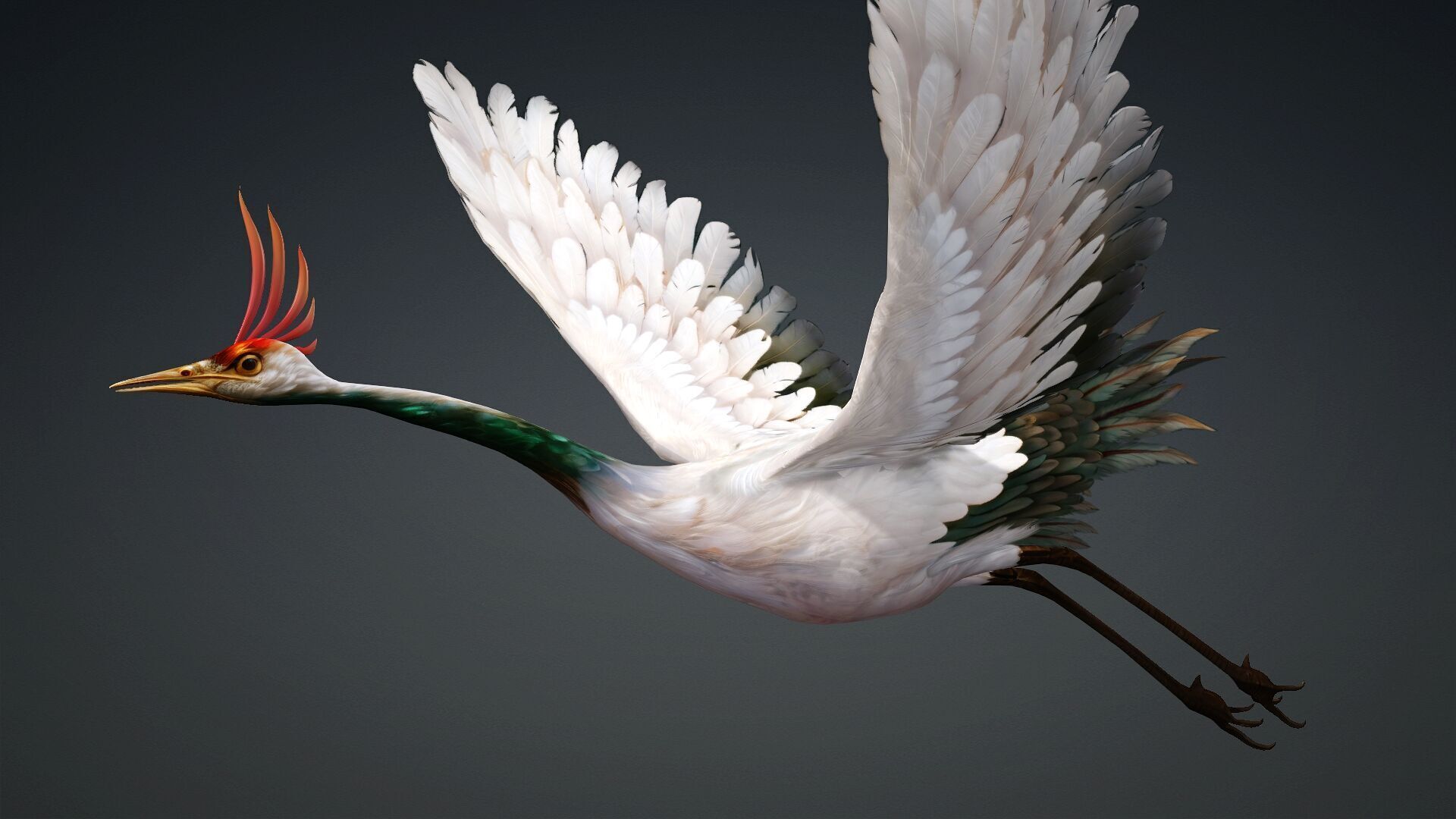 Crane Bird-B3 3D model_9