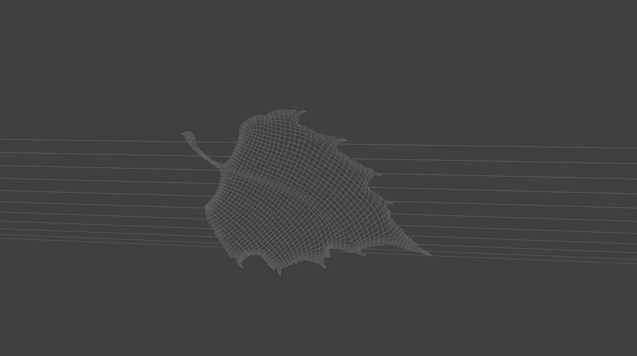 Birch Leaf Spring Symbol Low-poly 3D model_1