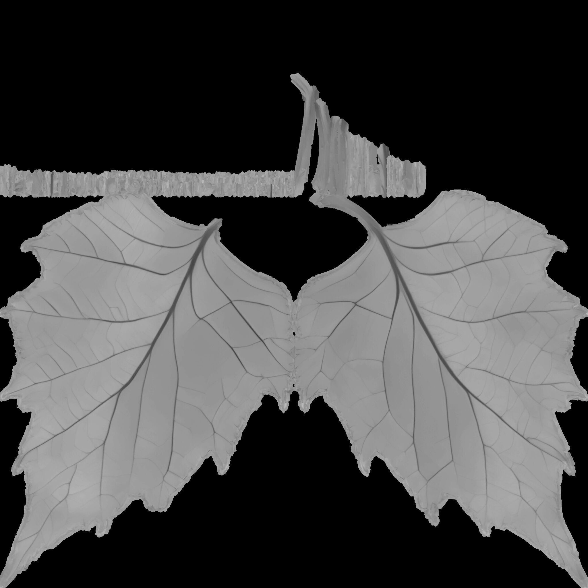 Birch Leaf Spring Symbol Low-poly 3D model_4