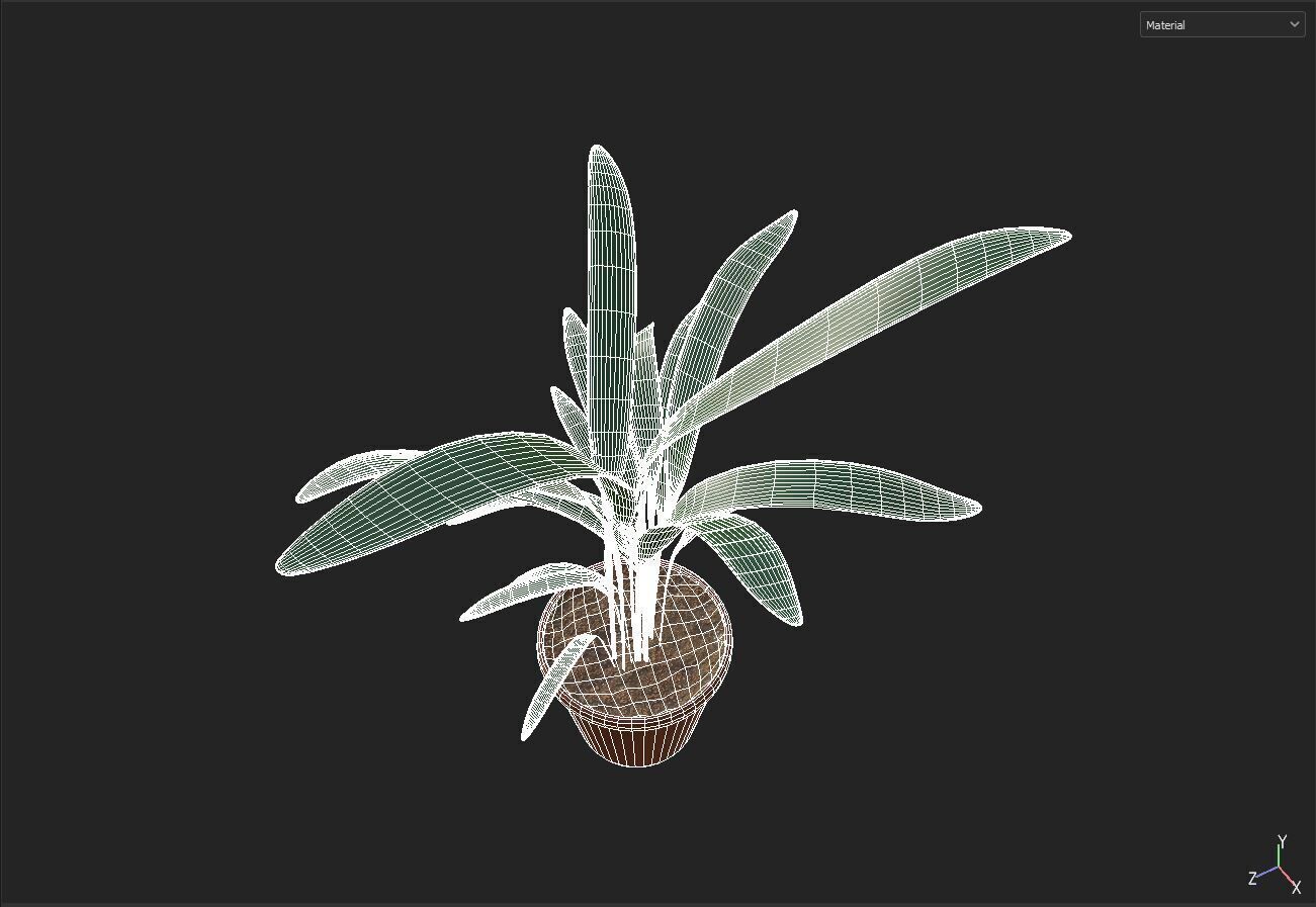 Plant 3D model_6