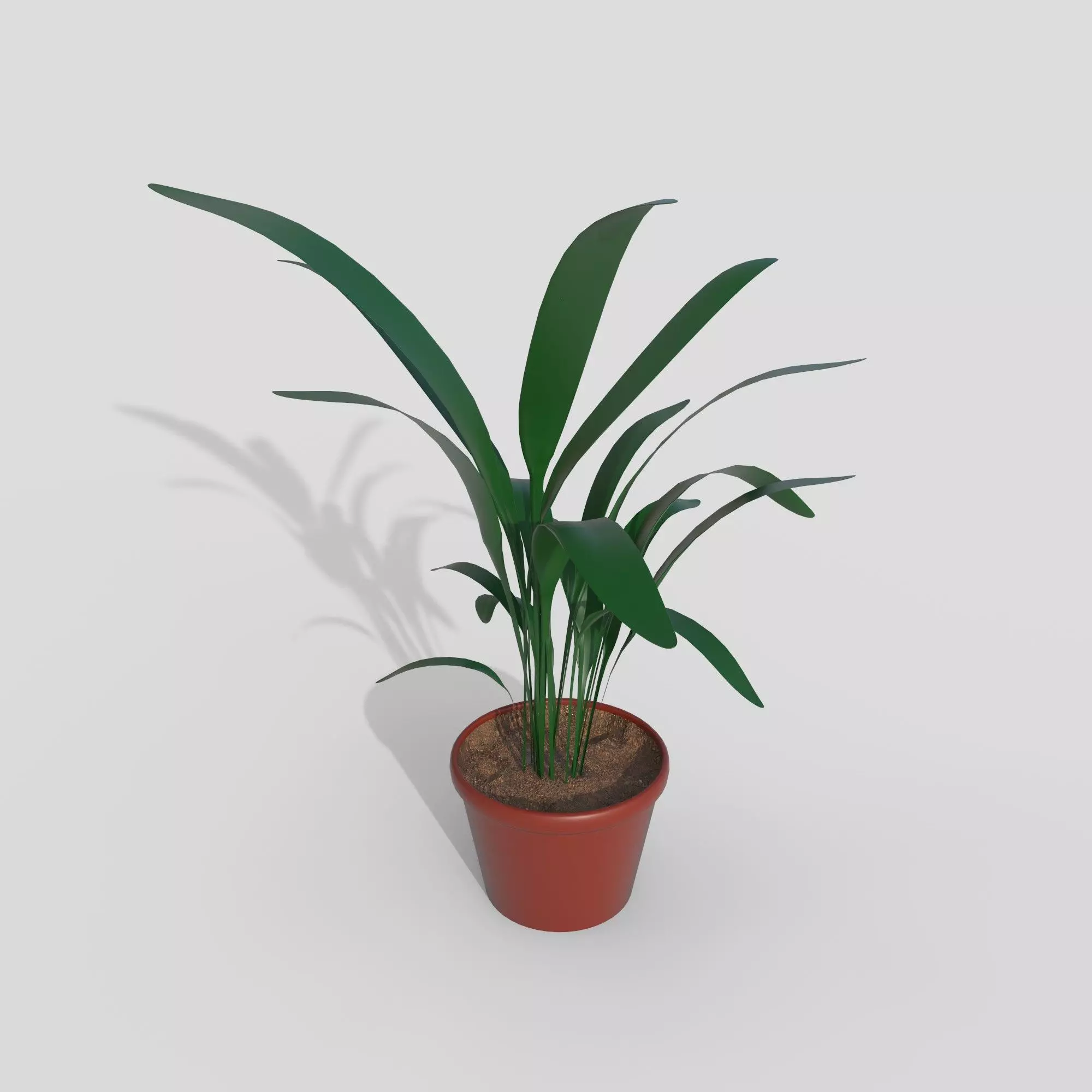 Plant 3D model_0