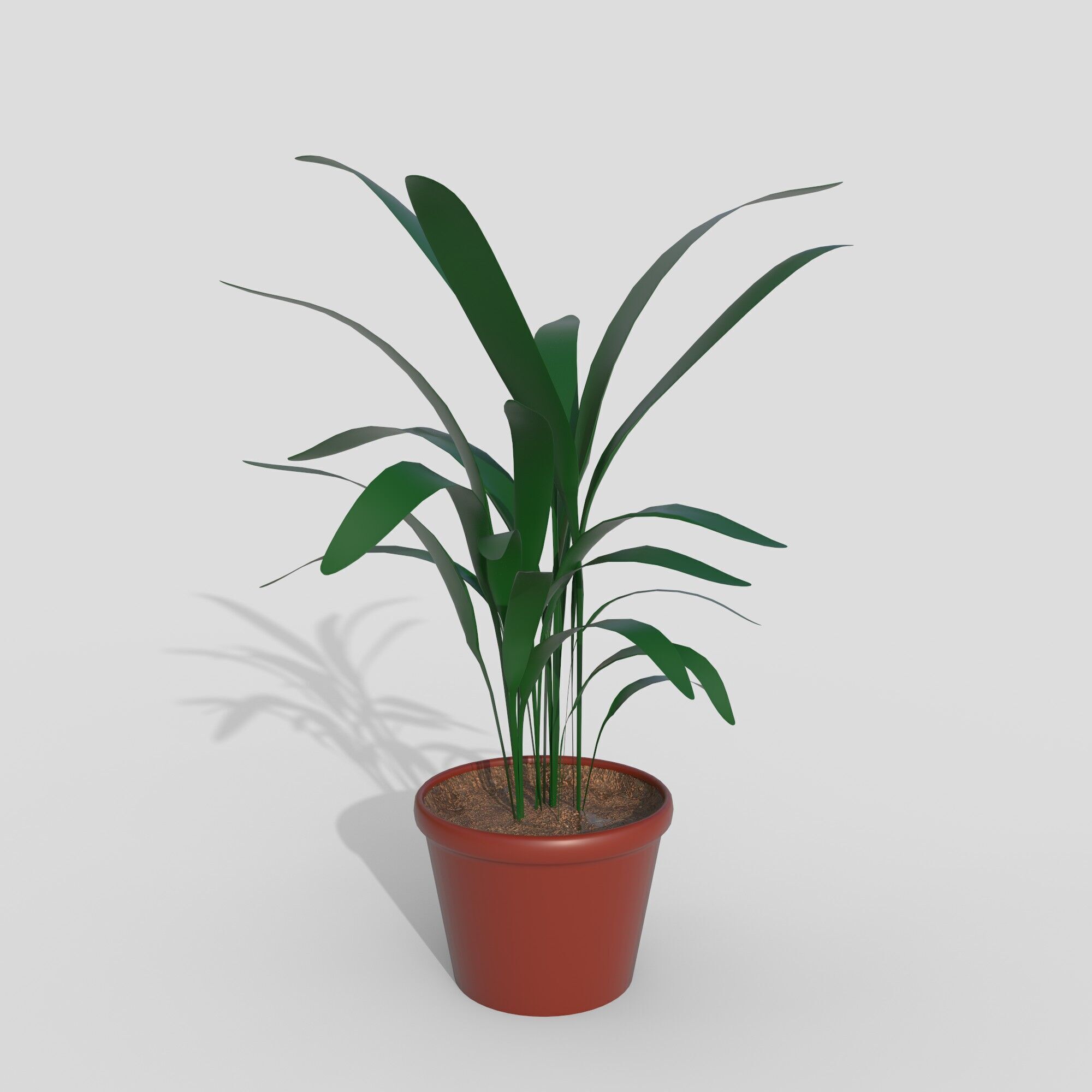 Plant 3D model_2