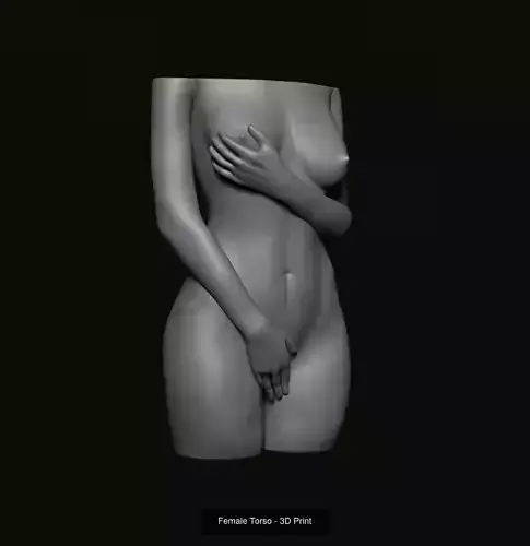 Female - Male Torso 3D Model Collection