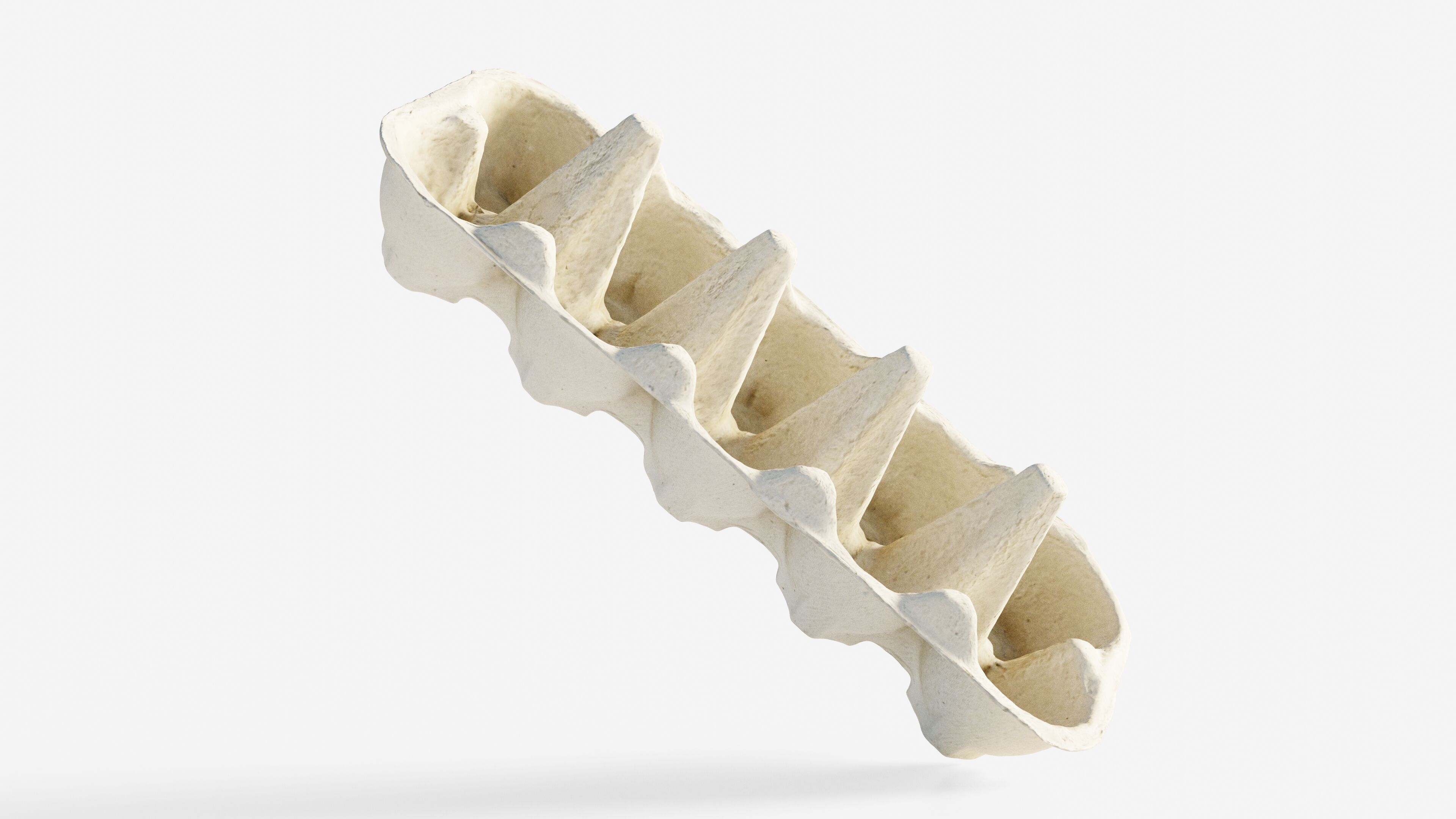 Scanned paper egg tray Low-poly 3D model_5