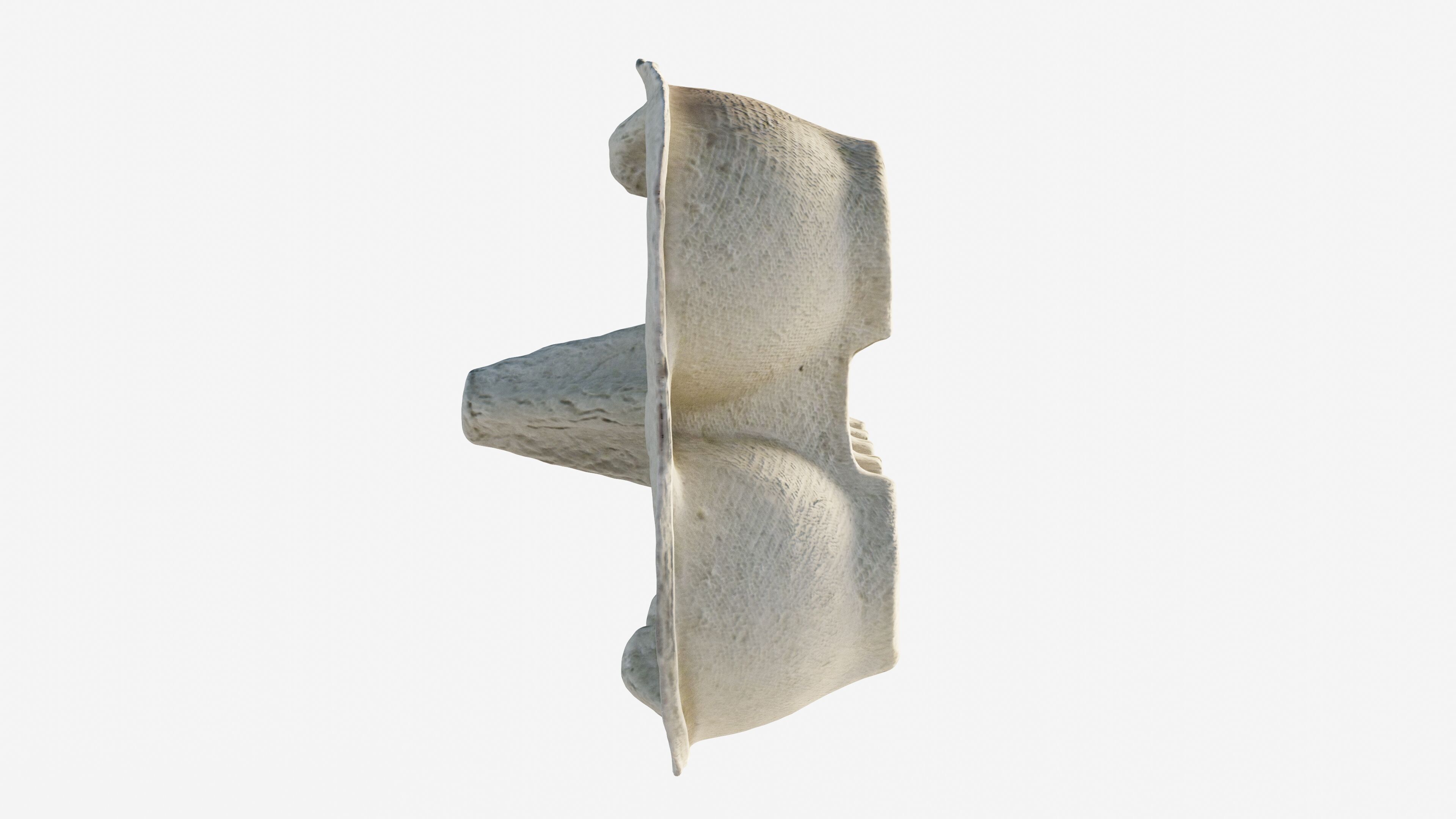 Scanned paper egg tray Low-poly 3D model_10