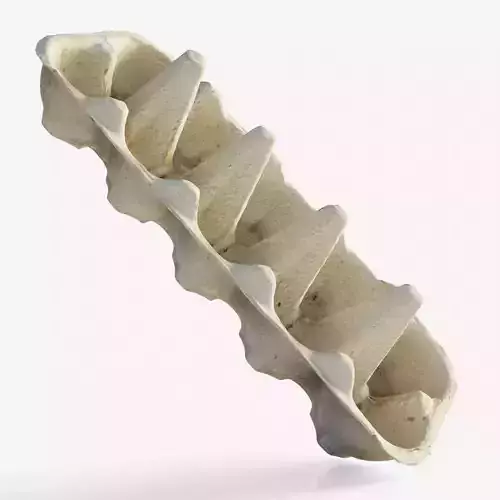 Scanned paper egg tray 