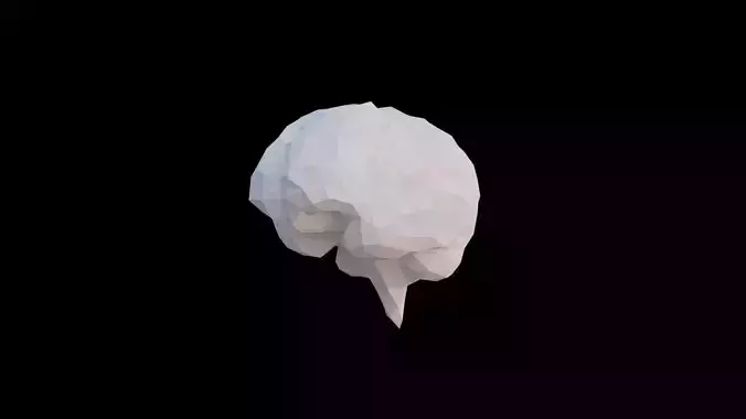 Origami human brain made unfolding growing animation