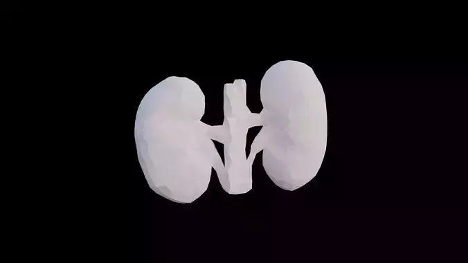 Origami human kidney unfolding growing animation