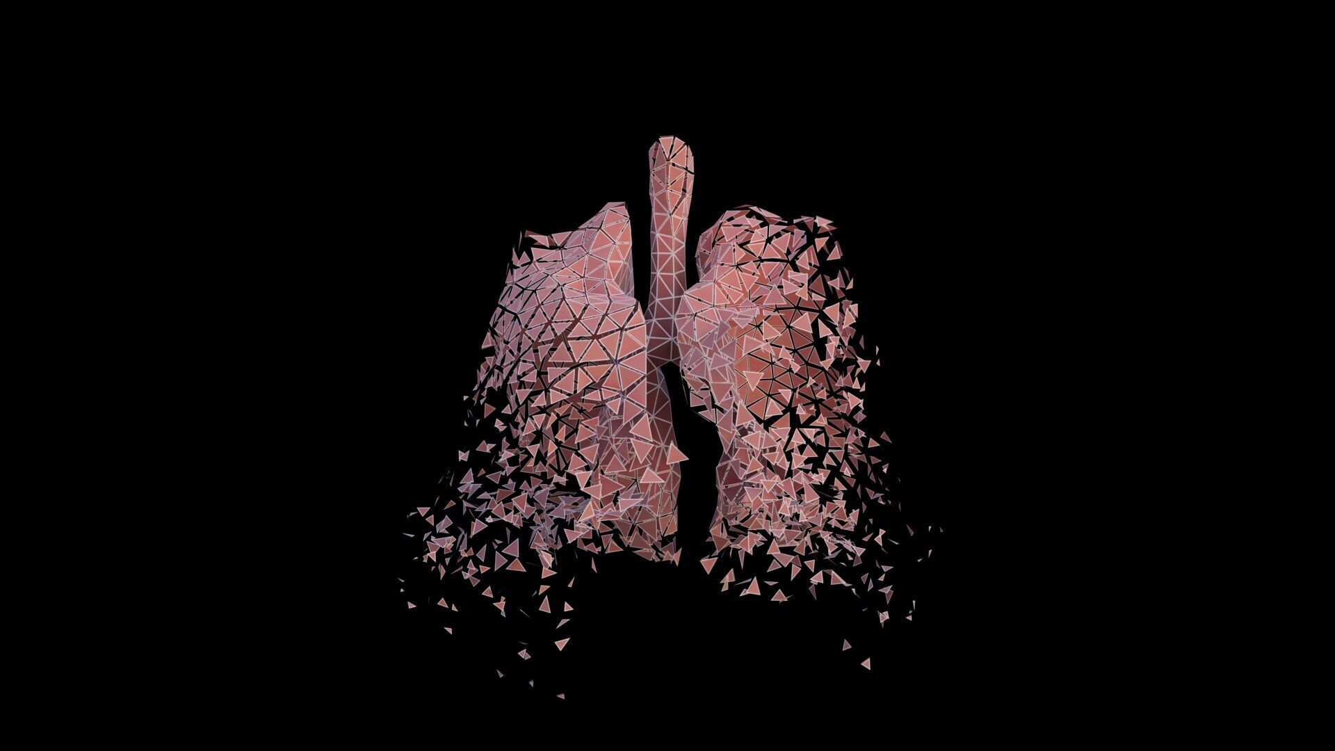 Origami human lungs unfolding growing animation Low-poly 3D model_7