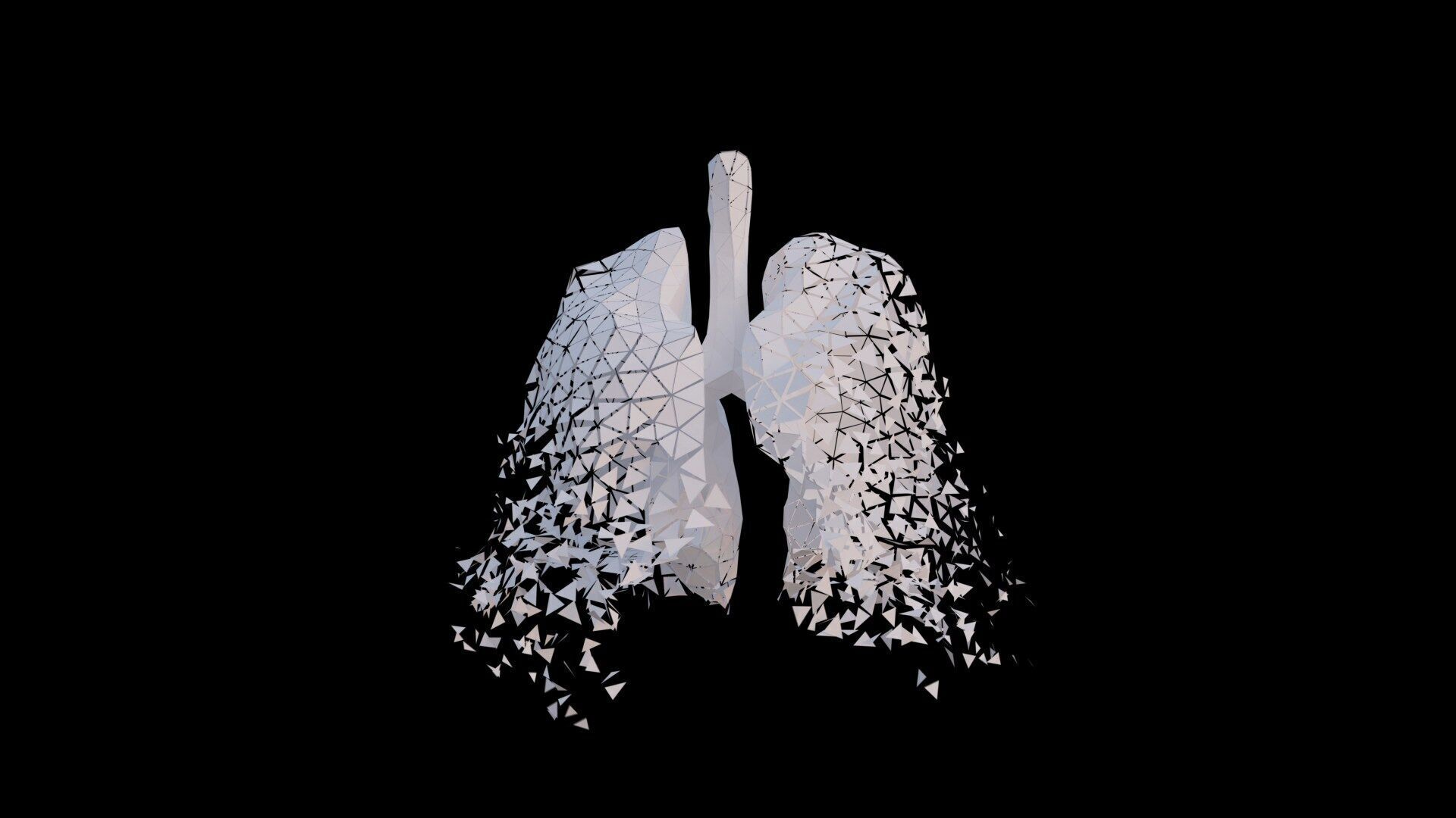 Origami human lungs unfolding growing animation Low-poly 3D model_4