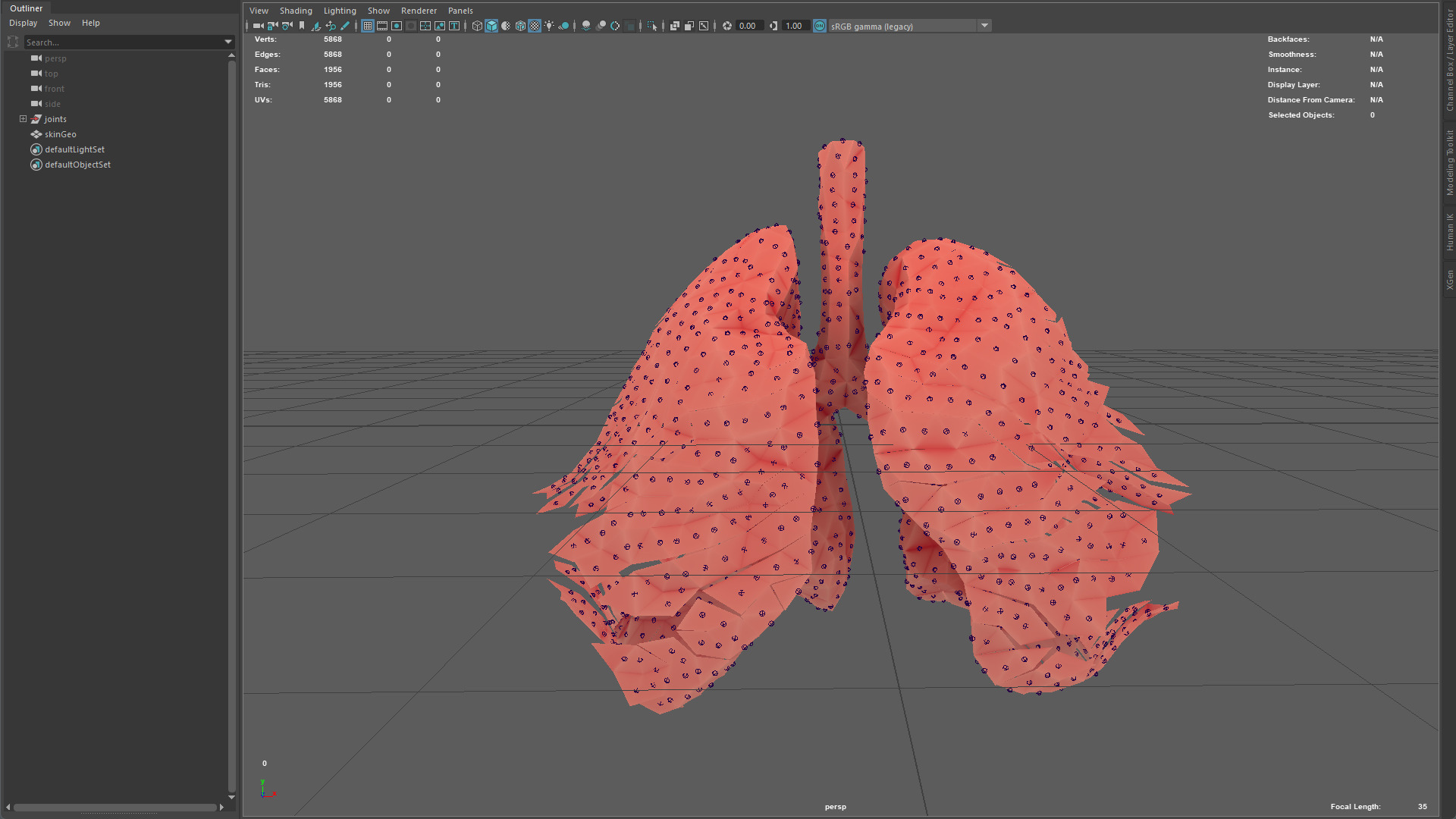 Origami human lungs unfolding growing animation Low-poly 3D model_11