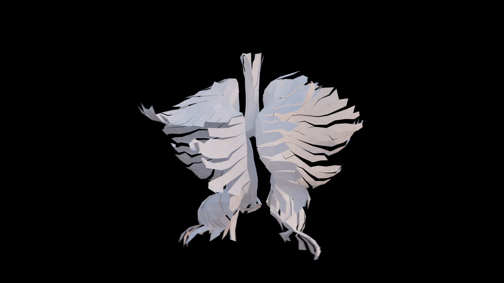 Origami human lungs unfolding growing animation Low-poly 3D model_3