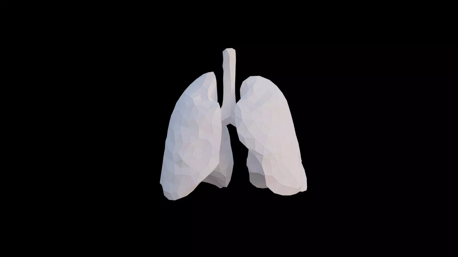 Origami human lungs unfolding growing animation Low-poly 3D model_0
