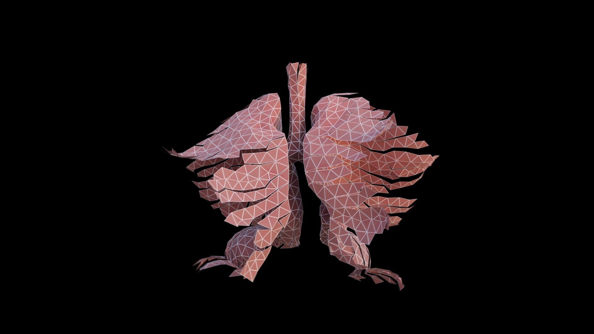 Origami human lungs unfolding growing animation Low-poly 3D model_6
