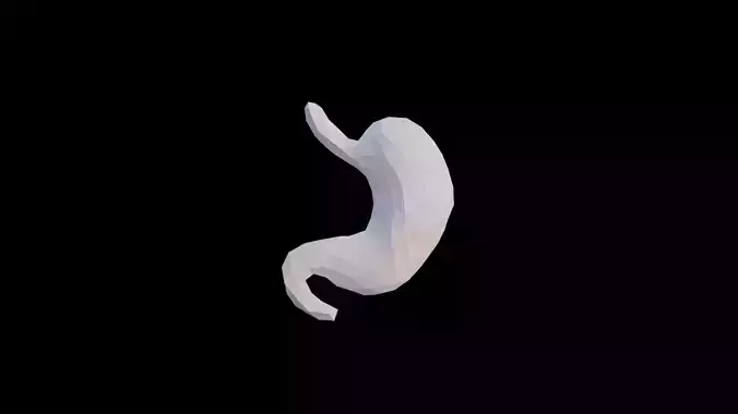 Origami human stomach unfolding growing animation Low-poly 3D model
