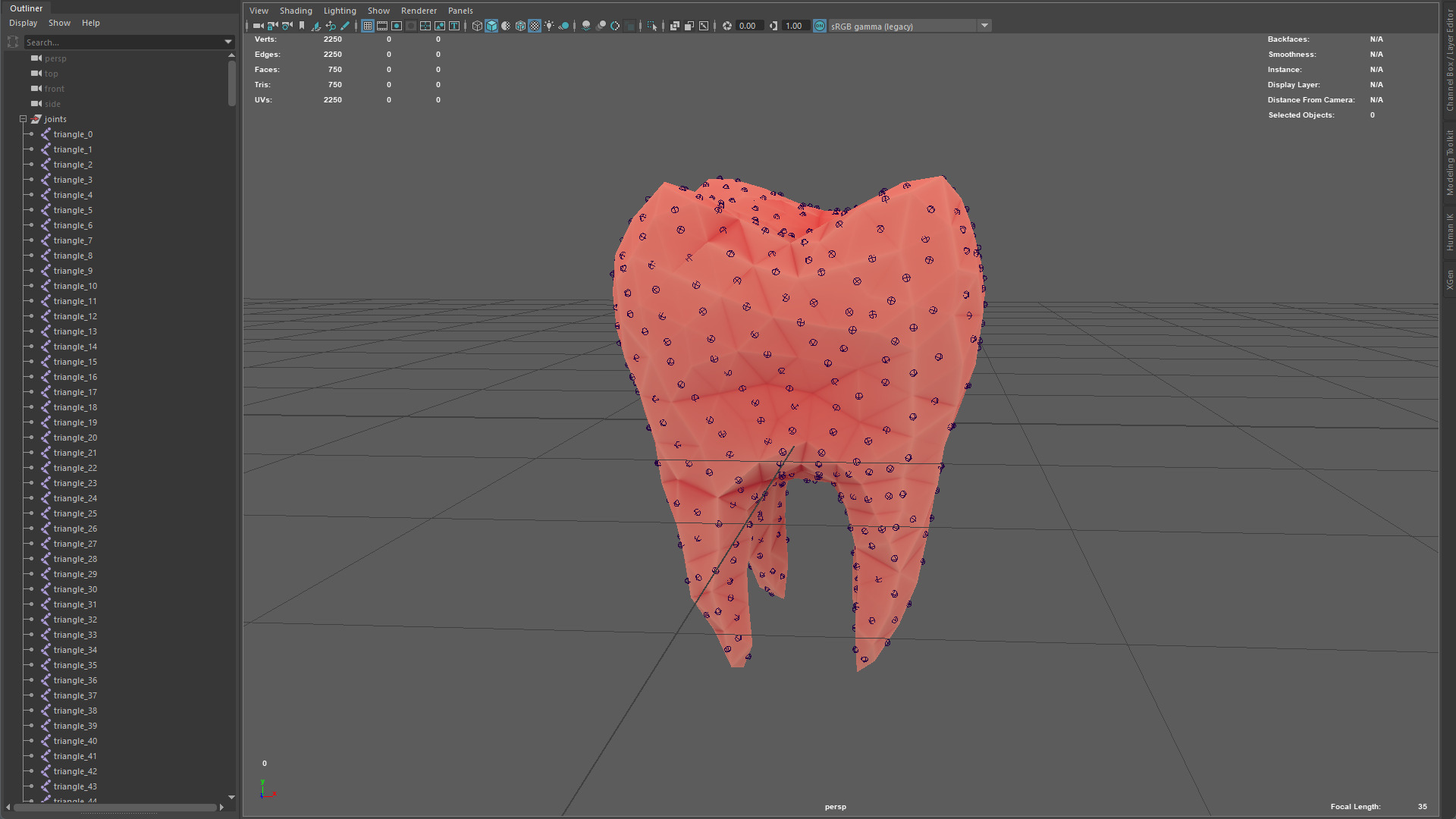 Origami human tooth unfolding growing animation Low-poly 3D model_11